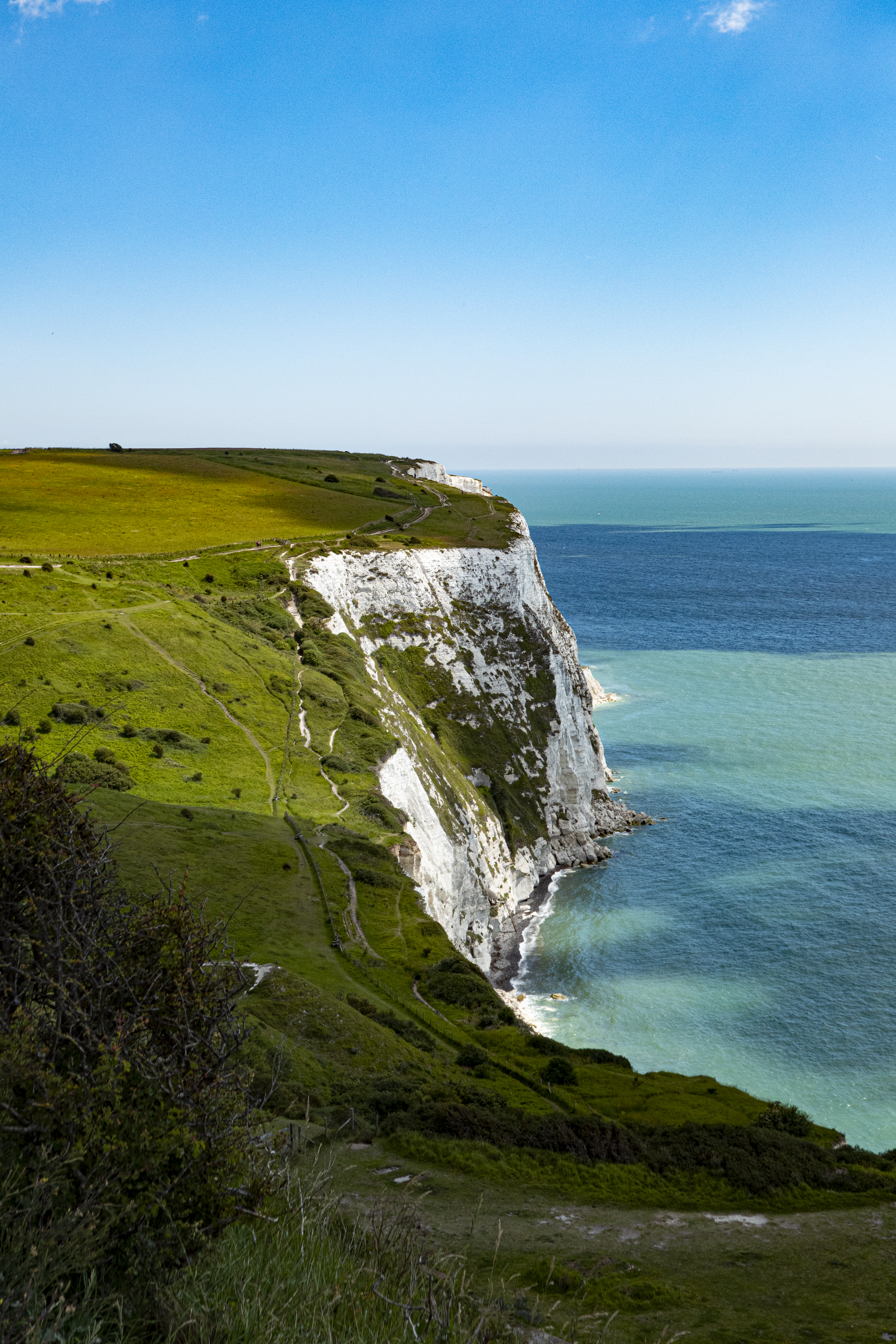 sea, grass, rock, nature, coast, cliff