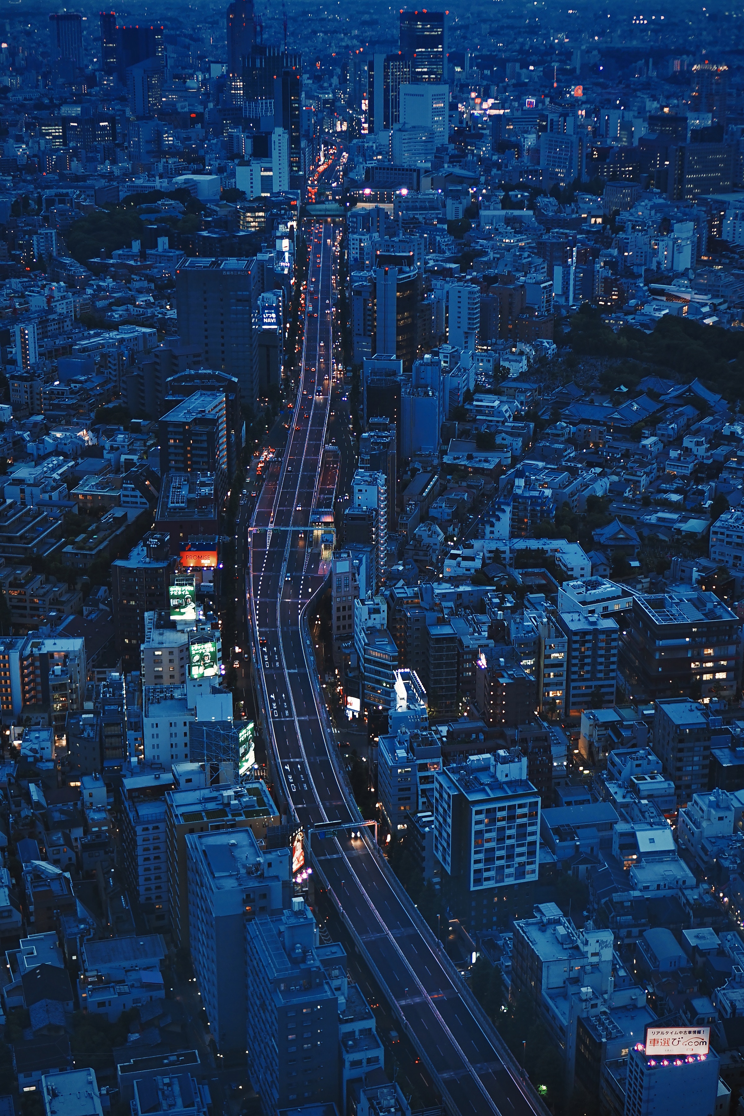 tokyo, overview, city, cities, architecture, view from above, review, evening, japan