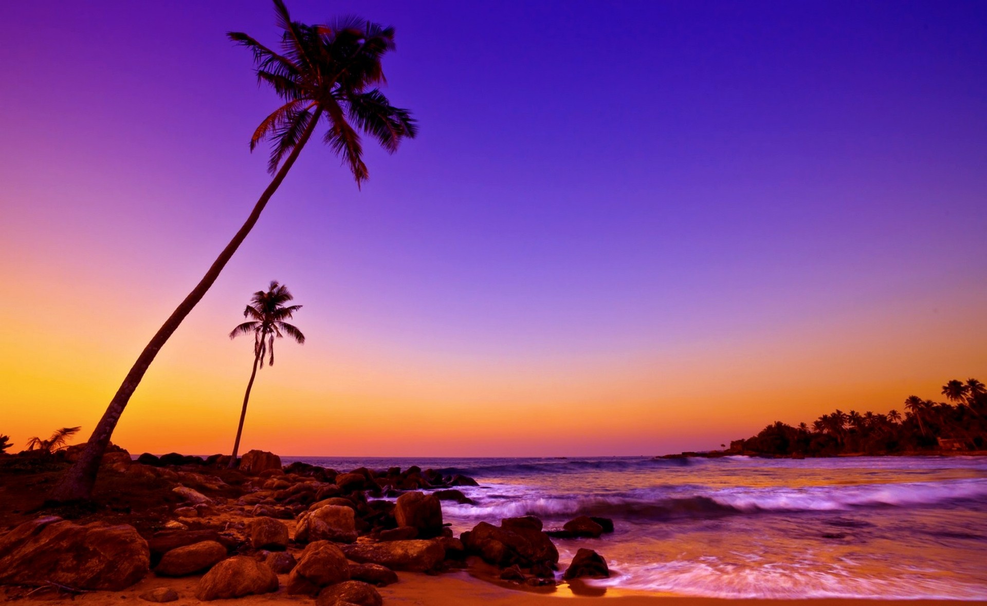 Скачать картинку Море, Пальмы, Тропики, Земля/природа, Закат Солнца в телефон бесплатно.