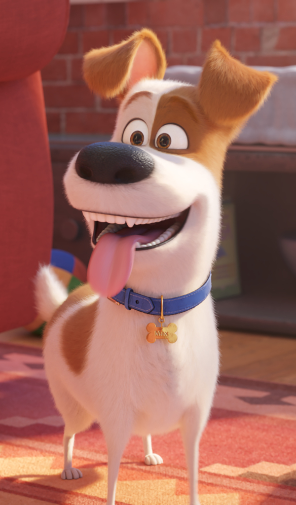 Download mobile wallpaper Movie, The Secret Life Of Pets 2 for free.