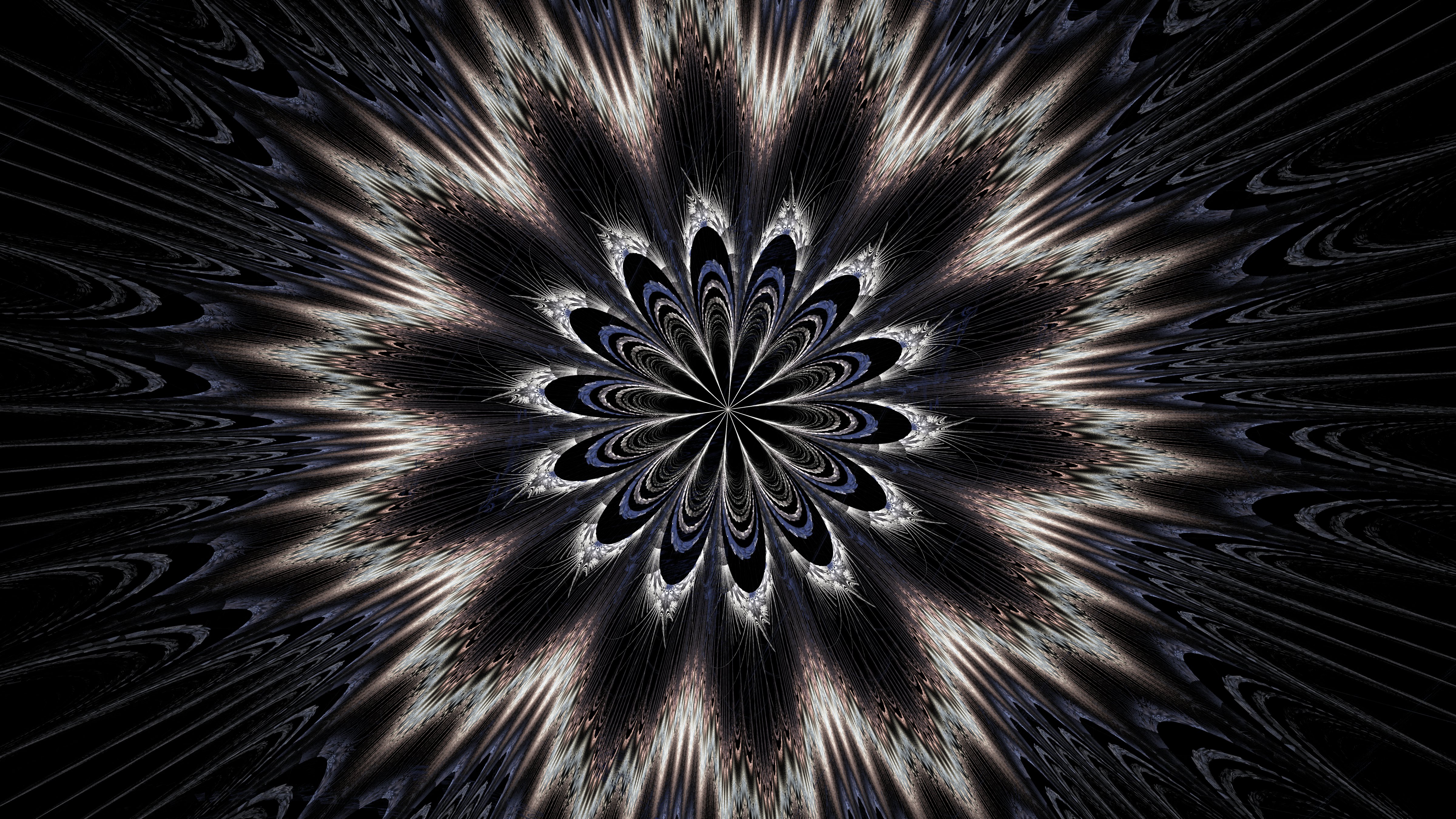 Laden Sie das Symmetrie, Kaleidoskop, Fraktale, Abstrakt-Bild kostenlos auf Ihren PC-Desktop herunter