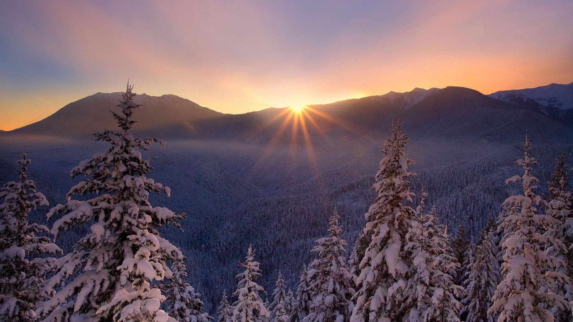 nature, winter, sunset, snow, fir trees, beautiful, frost, highlands, forest area