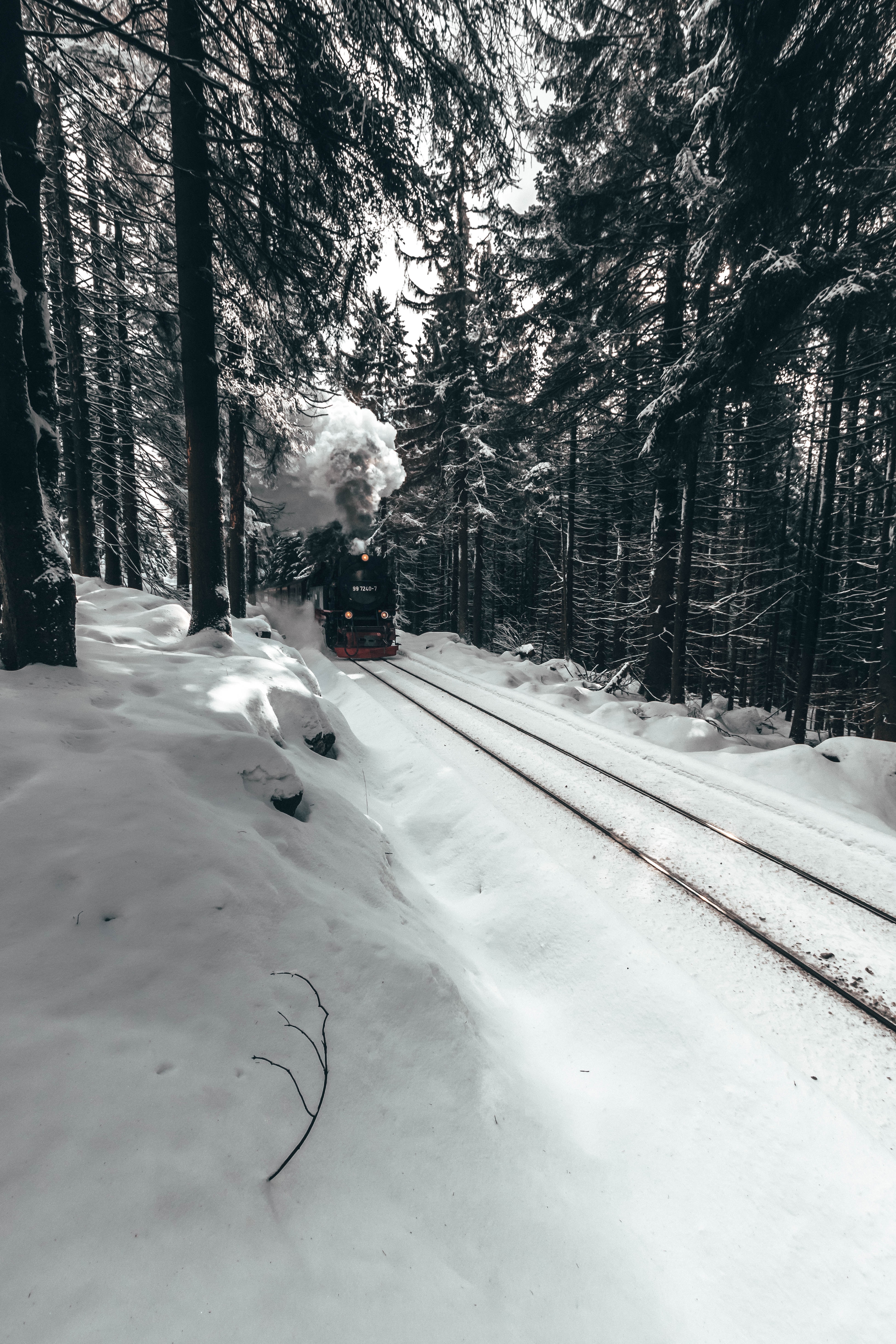 53656 завантажити картинку зима, сніг, різне, ліс, поїзд, паровоз - шпалери і заставки безкоштовно