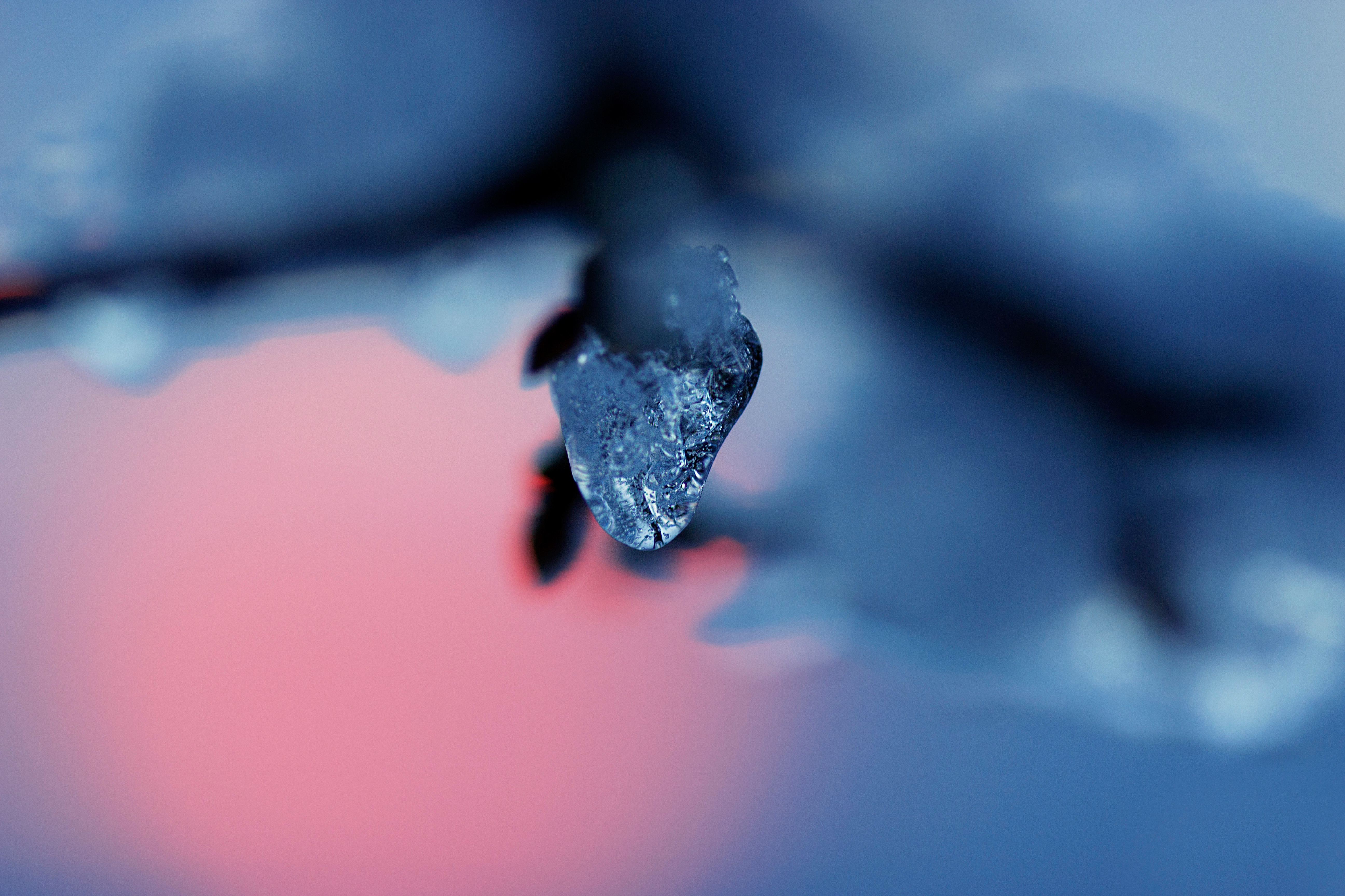 Download mobile wallpaper Macro, Ice, Snow, Branch, Smooth, Blur for free.