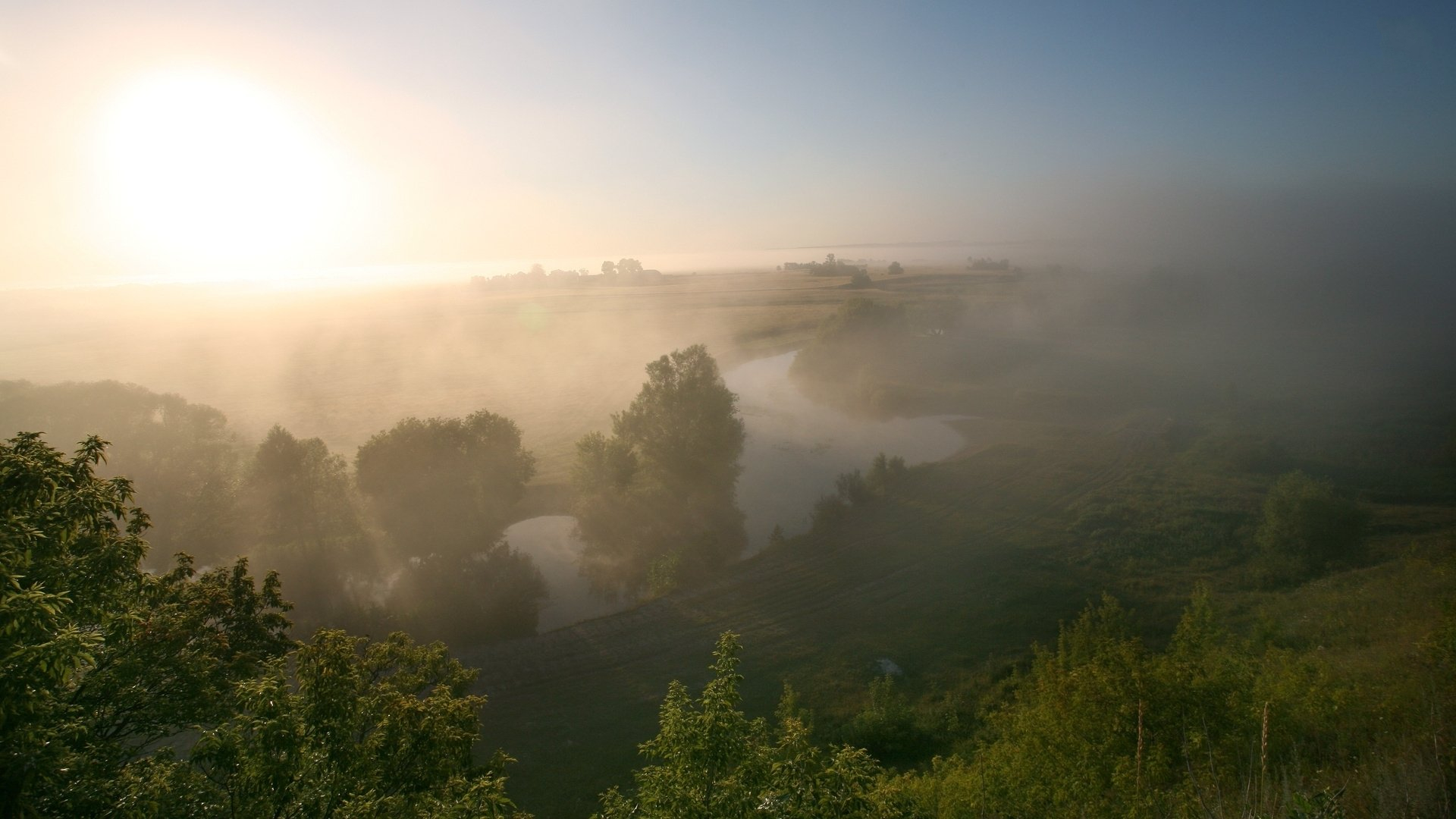 Download mobile wallpaper Water, Tree, Fog, Earth for free.