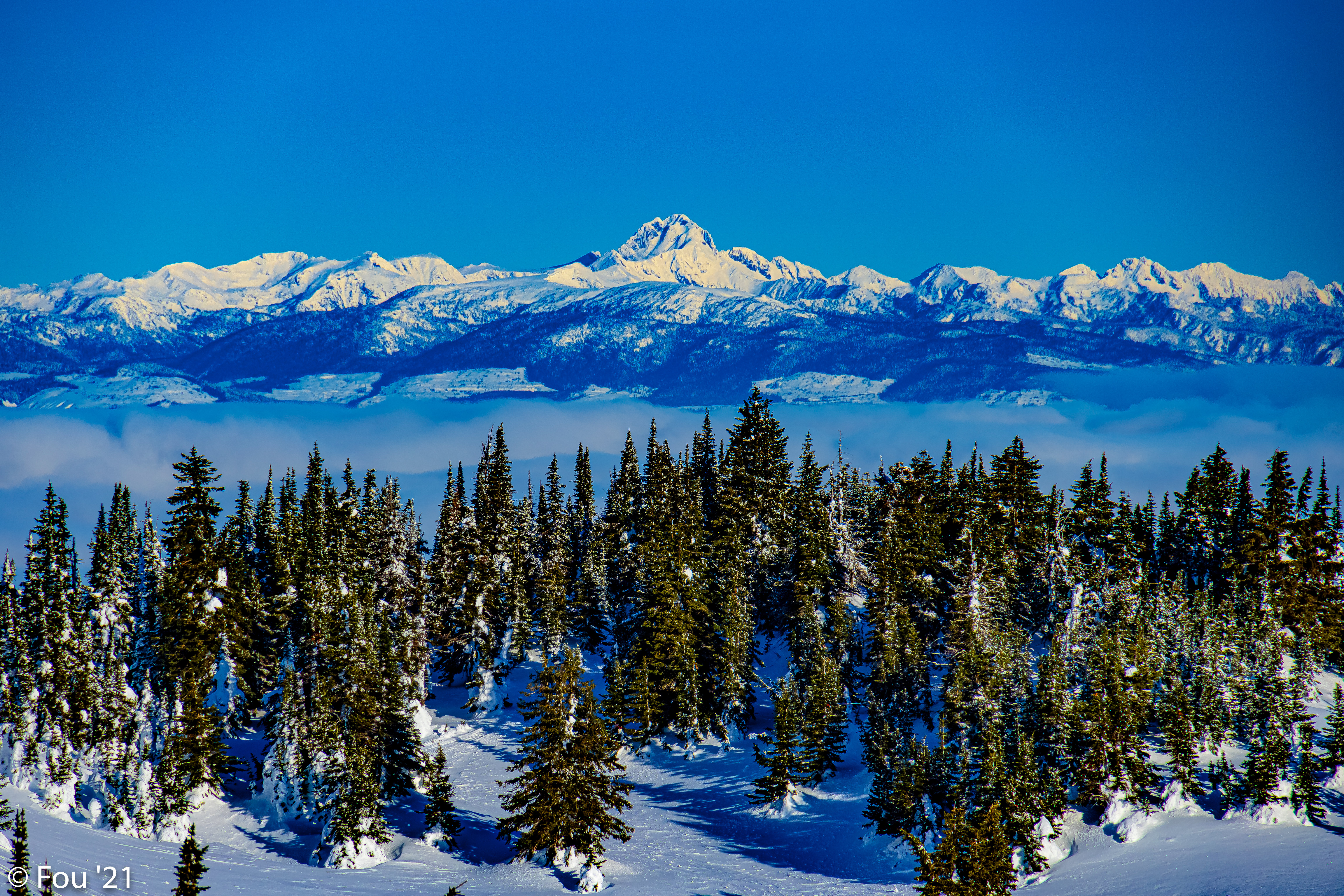 Baixe gratuitamente a imagem Inverno, Natureza, Árvores, Montanhas, Neve, Paisagem, Figueiras na área de trabalho do seu PC