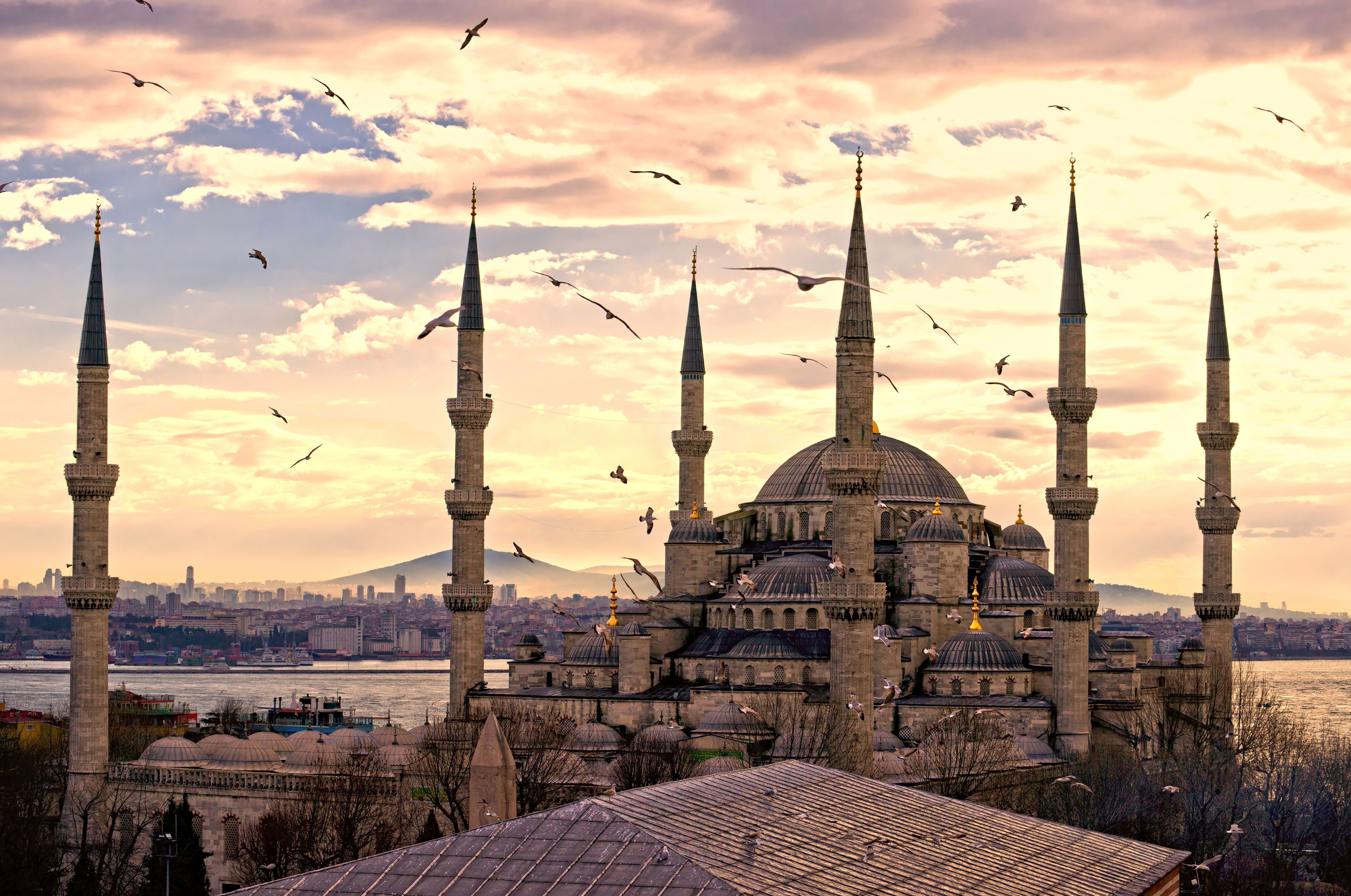 341696 завантажити шпалери релігійний, мечеть султана ахмеда, стамбул, чайка, туреччина, мечеті - заставки і картинки безкоштовно