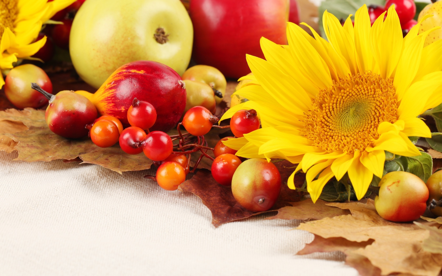 Free download wallpaper Food, Still Life on your PC desktop