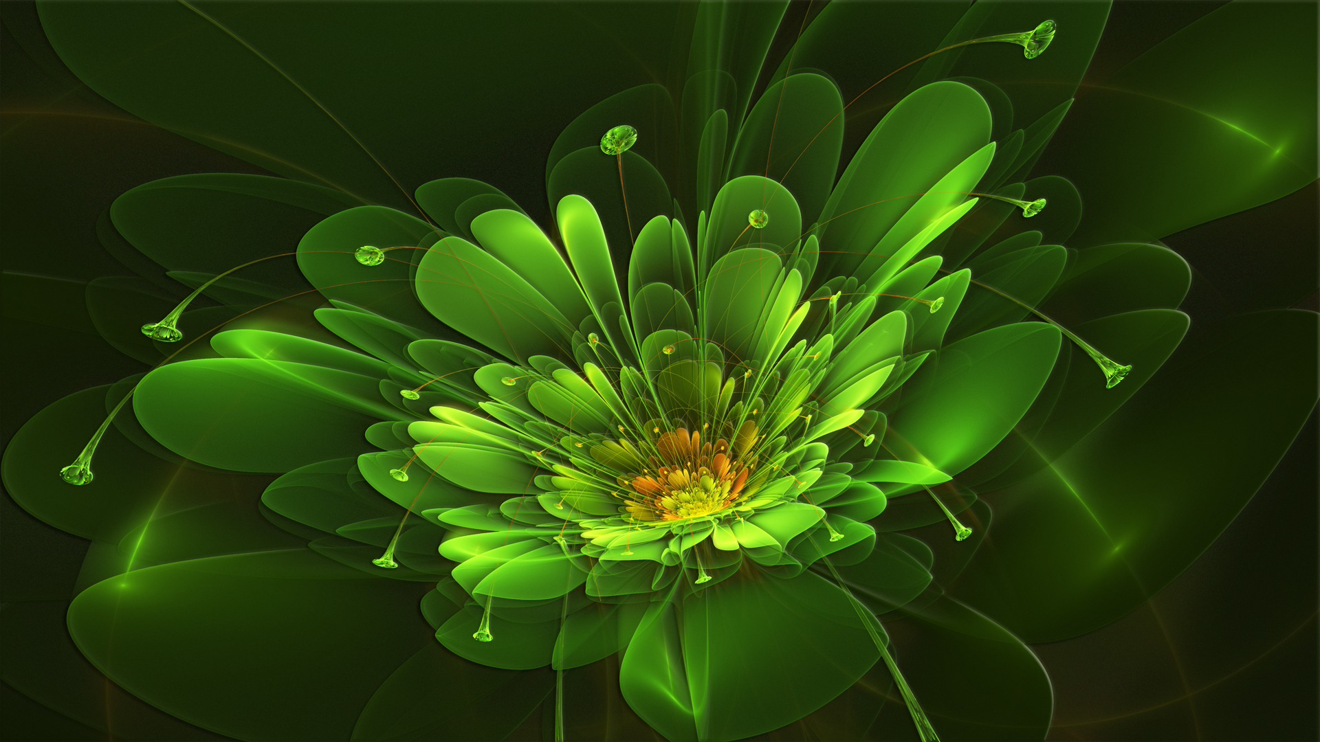 Free download wallpaper Abstract, Flower, Fractal on your PC desktop