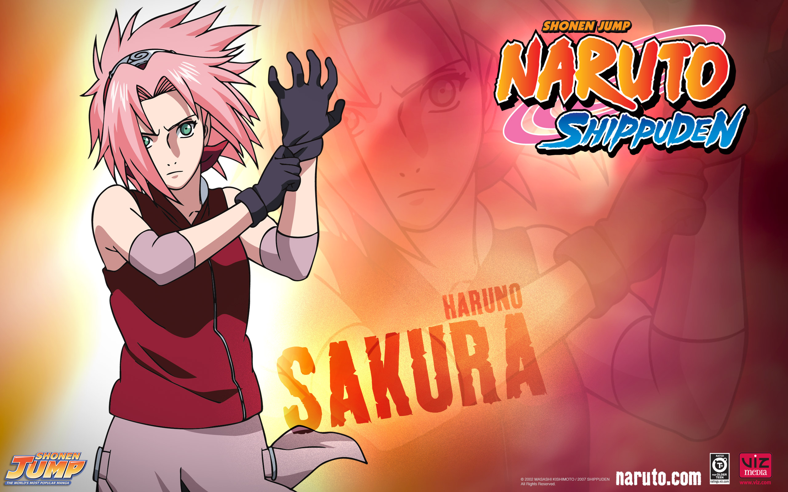 Baixar papel de parede para celular de Anime, Naruto, Sakura Haruno gratuito.
