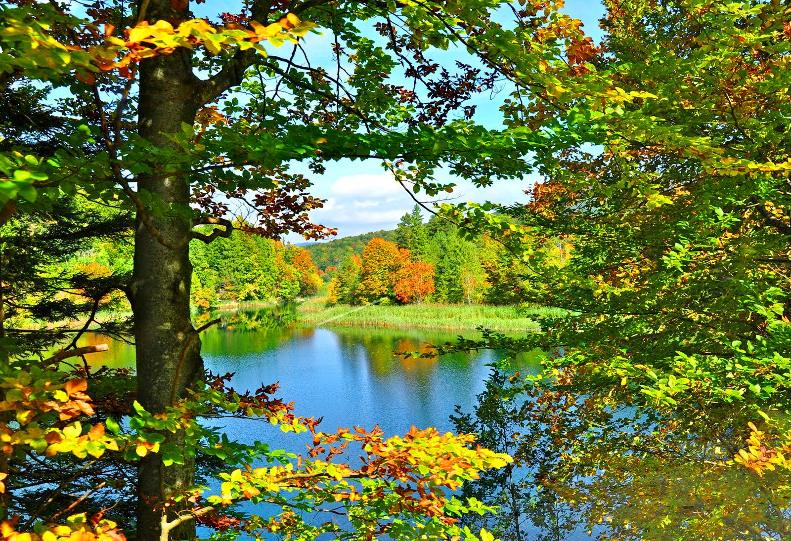 Handy-Wallpaper Herbst, Seen, See, Baum, Erde/natur kostenlos herunterladen.