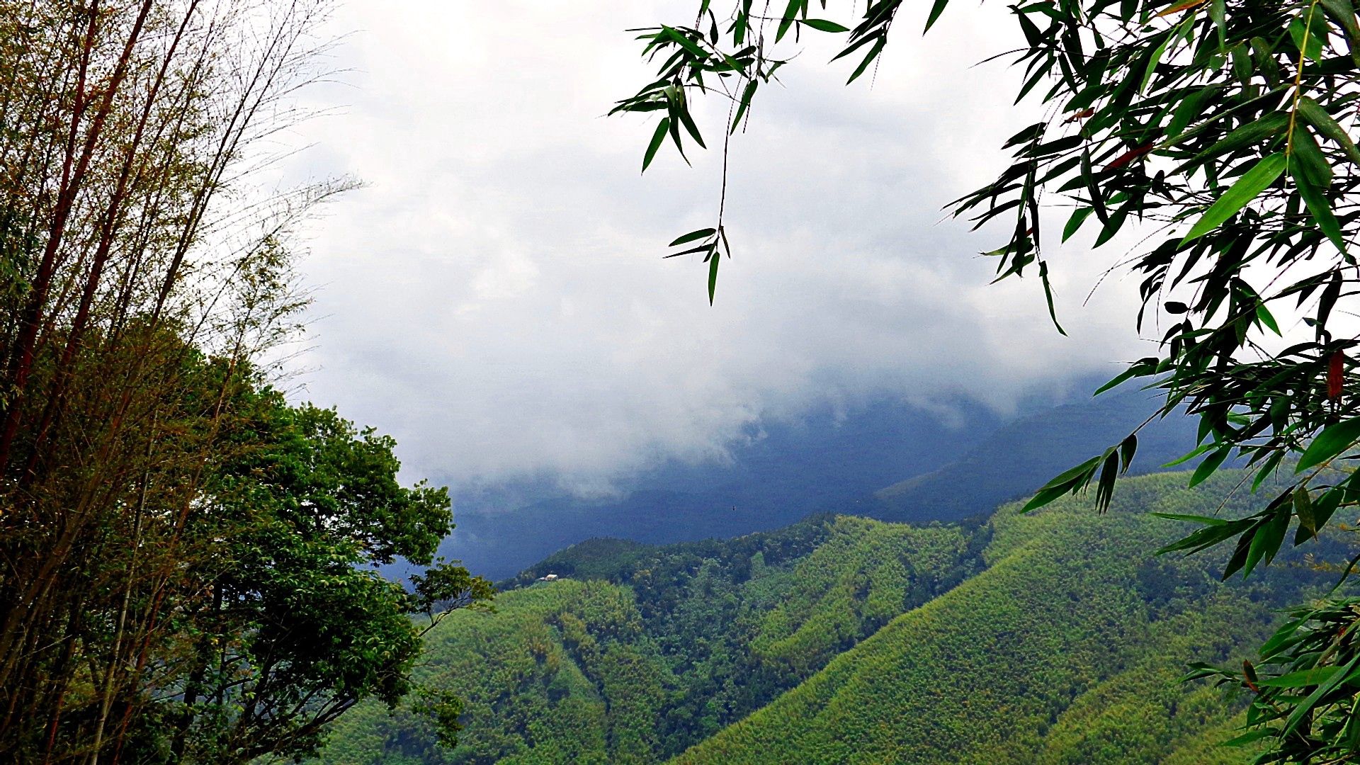 Descarga gratis la imagen Niebla, Naturaleza, Cielo, Montañas, Hierba en el escritorio de tu PC