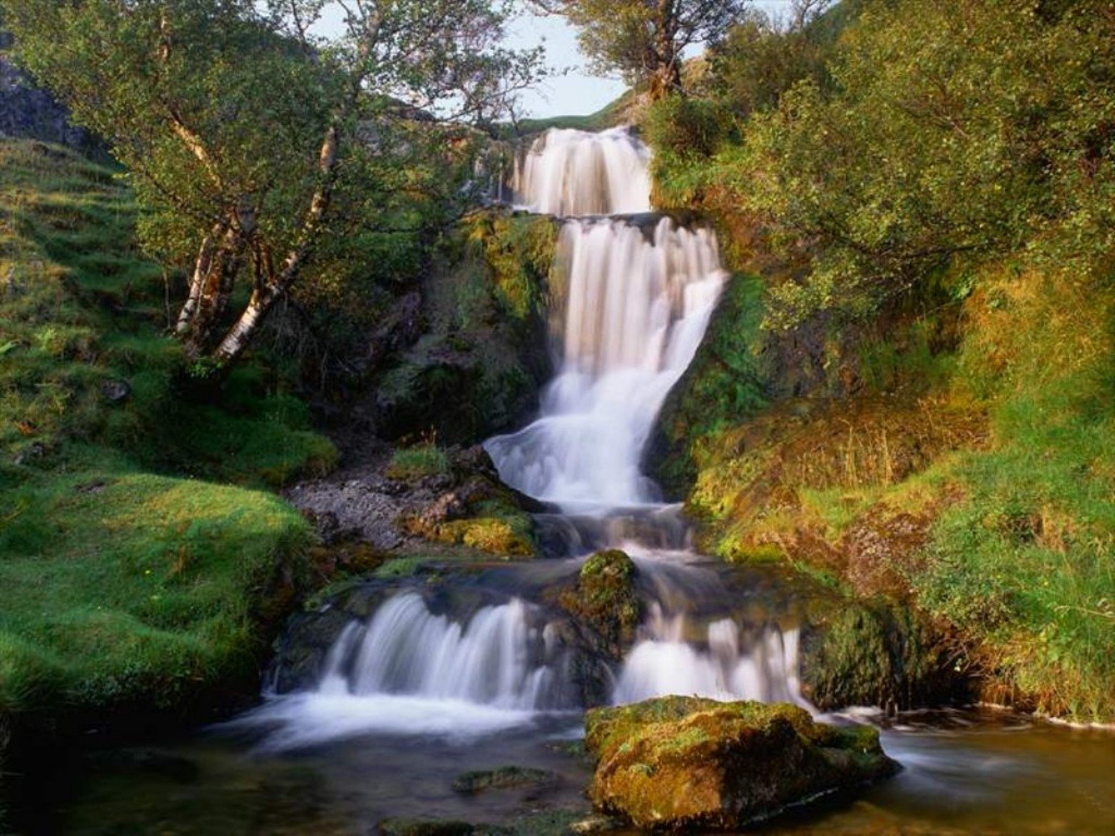 Скачати мобільні шпалери Водоспад, Дерево, Земля безкоштовно.