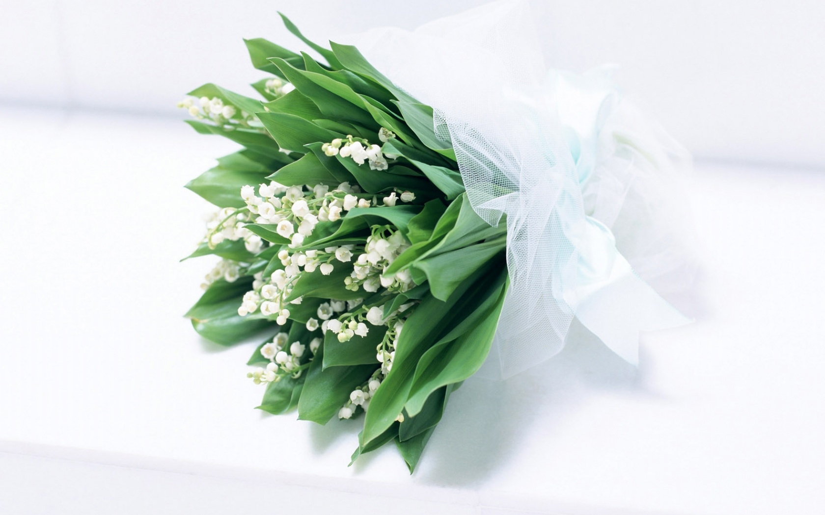 lily of the valley, plants, flowers, bouquets