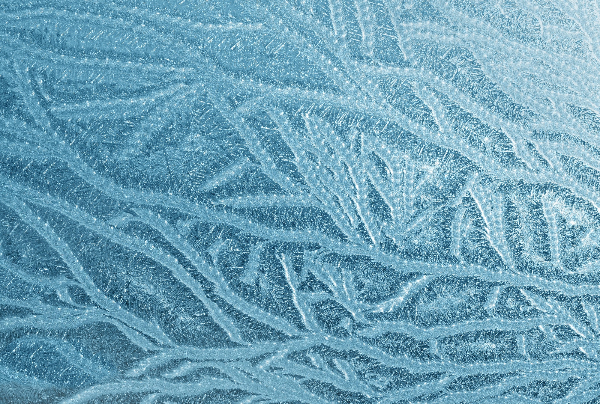 Download mobile wallpaper Winter, Pattern, Earth, Frost for free.