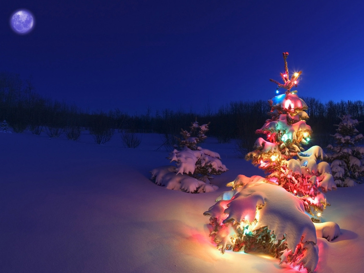 Handy-Wallpaper Schnee, Feiertage, Landschaft, Winter, Neujahr, Tannenbaum, Weihnachten kostenlos herunterladen.