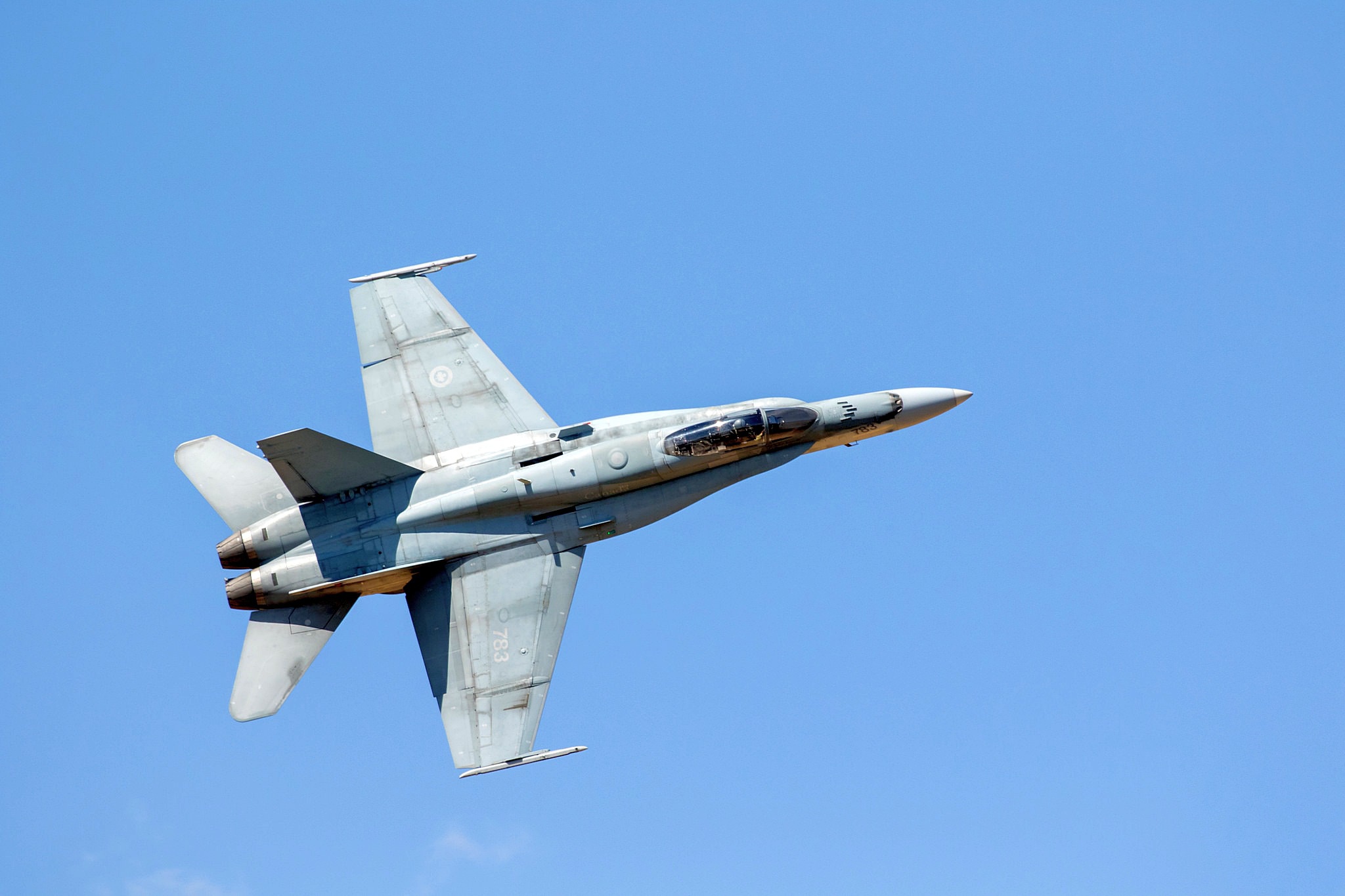 military, mcdonnell douglas cf 18 hornet, aircraft, jet fighter, warplane, jet fighters