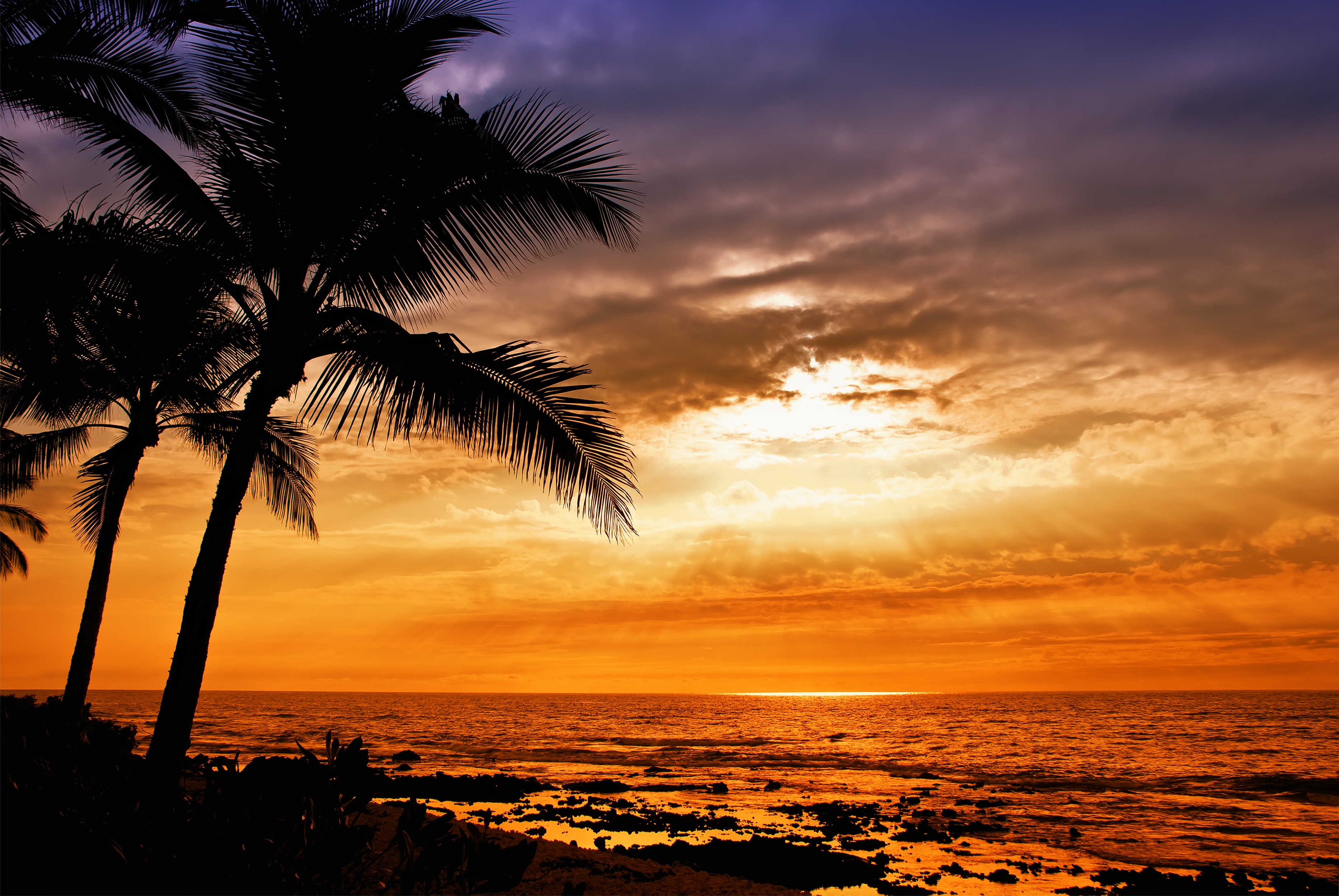 Free download wallpaper Sunset, Sea, Horizon, Tree, Ocean, Sunrise, Earth, Palm Tree on your PC desktop