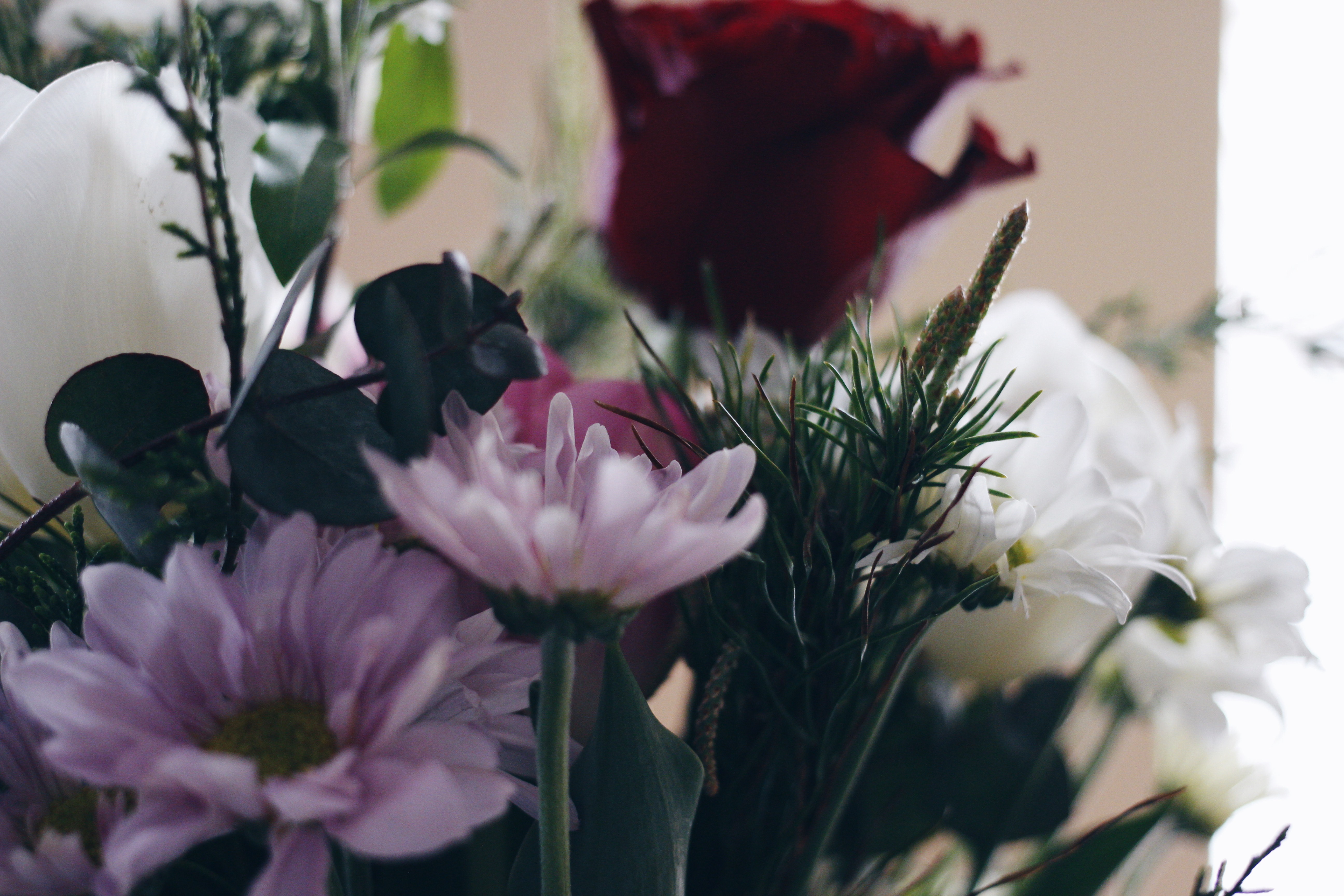 Téléchargez gratuitement l'image Fleurs, Composition, Bouquet sur le bureau de votre PC