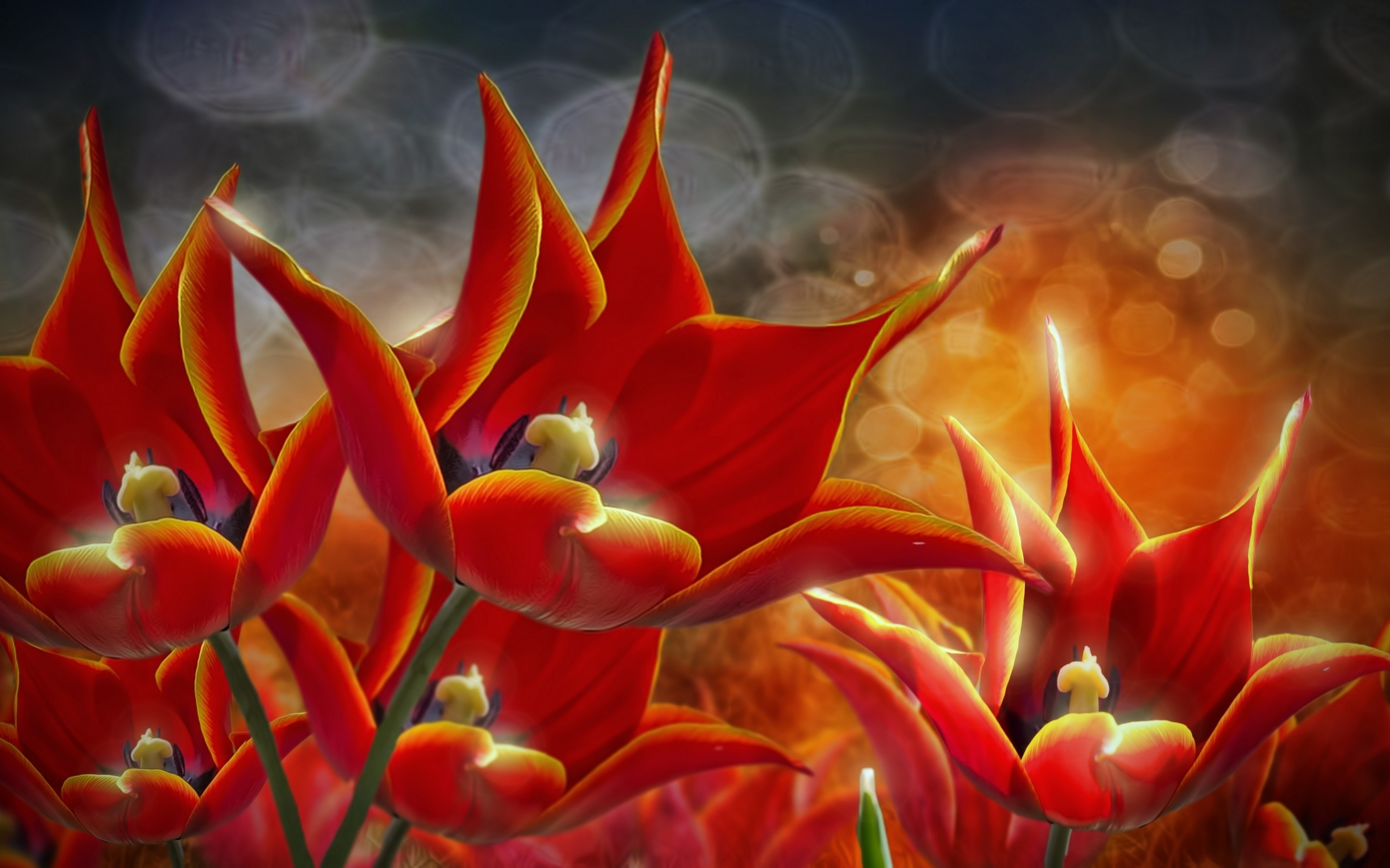 Descarga gratuita de fondo de pantalla para móvil de Flores, Flor, Pintura, Artístico, Tulipán, Flor Roja.