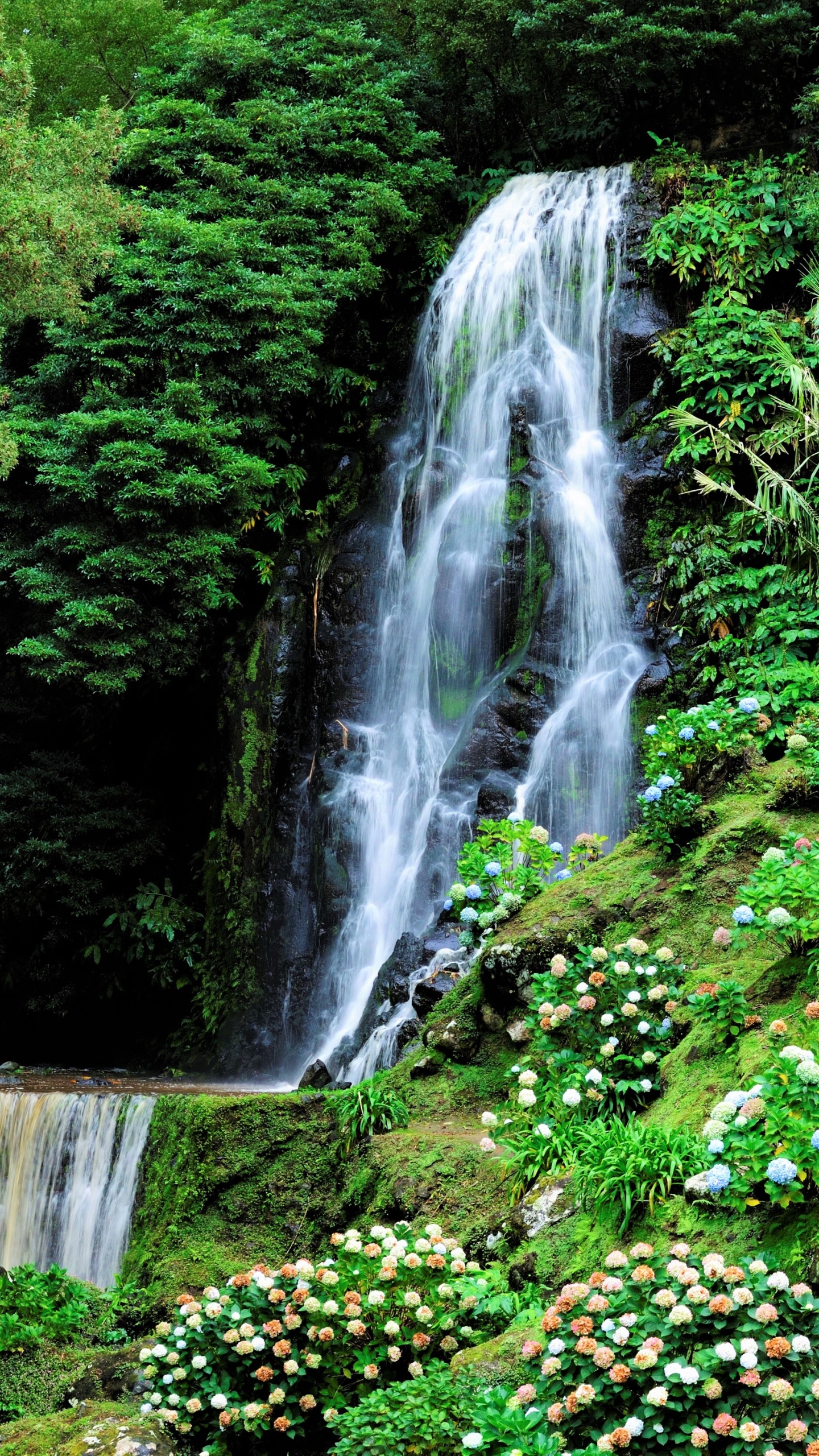Скачать обои бесплатно Водопады, Водопад, Земля, Весна, Португалия, Земля/природа картинка на рабочий стол ПК