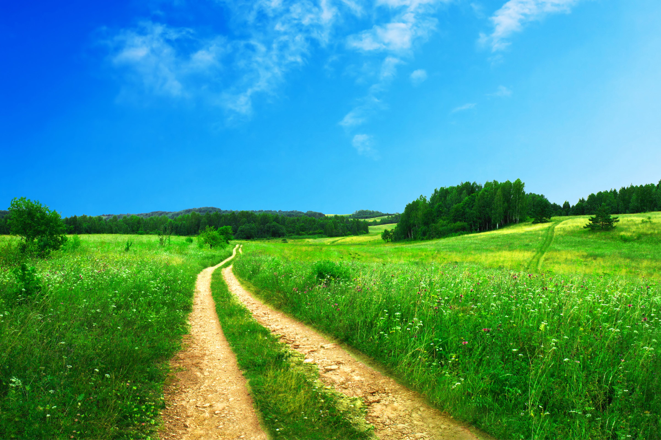 Download mobile wallpaper Landscape, Nature, Grass, Earth, Field, Path for free.