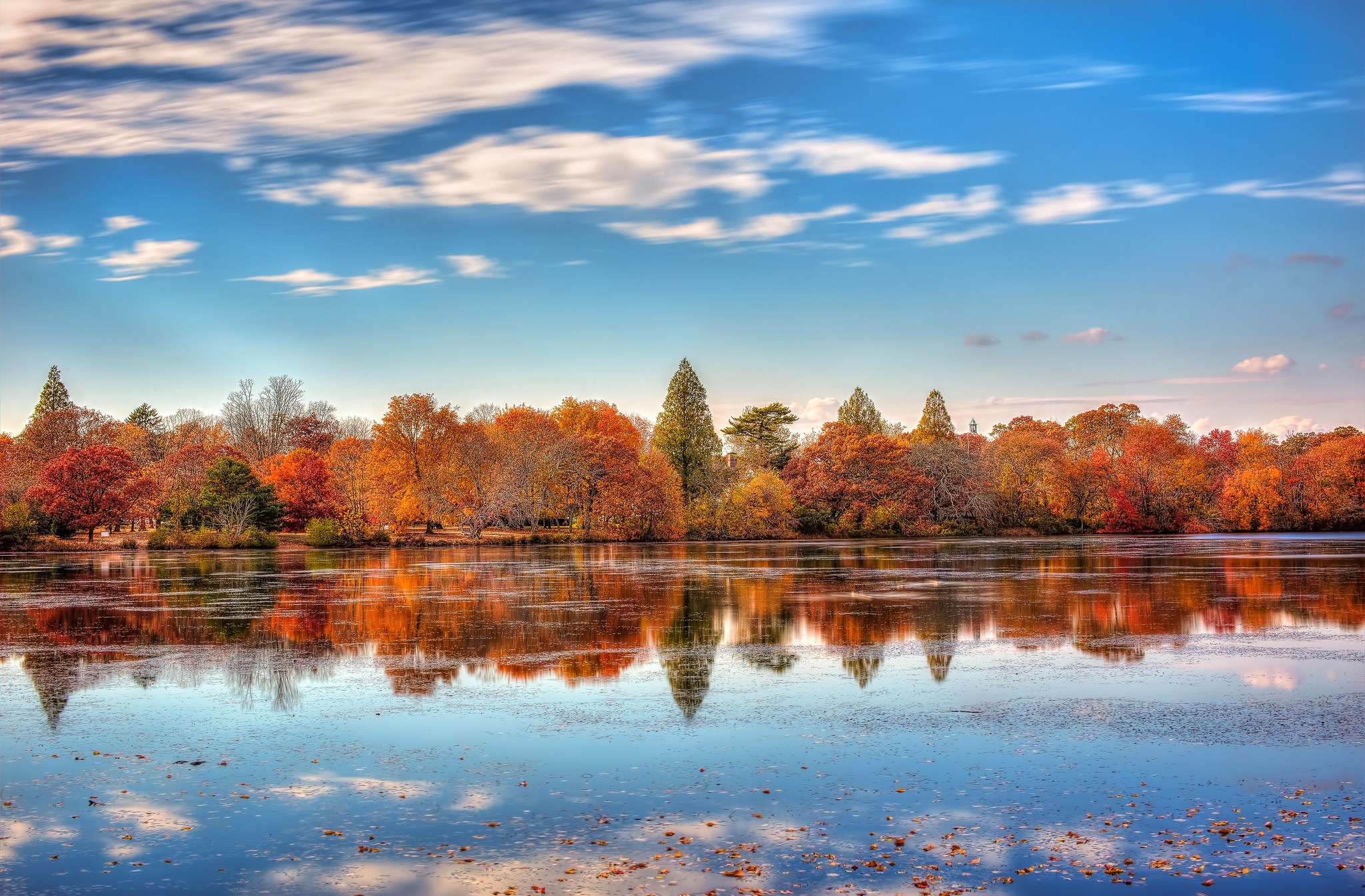 Laden Sie das Herbst, Wald, Baum, Erde/natur, Spiegelung-Bild kostenlos auf Ihren PC-Desktop herunter