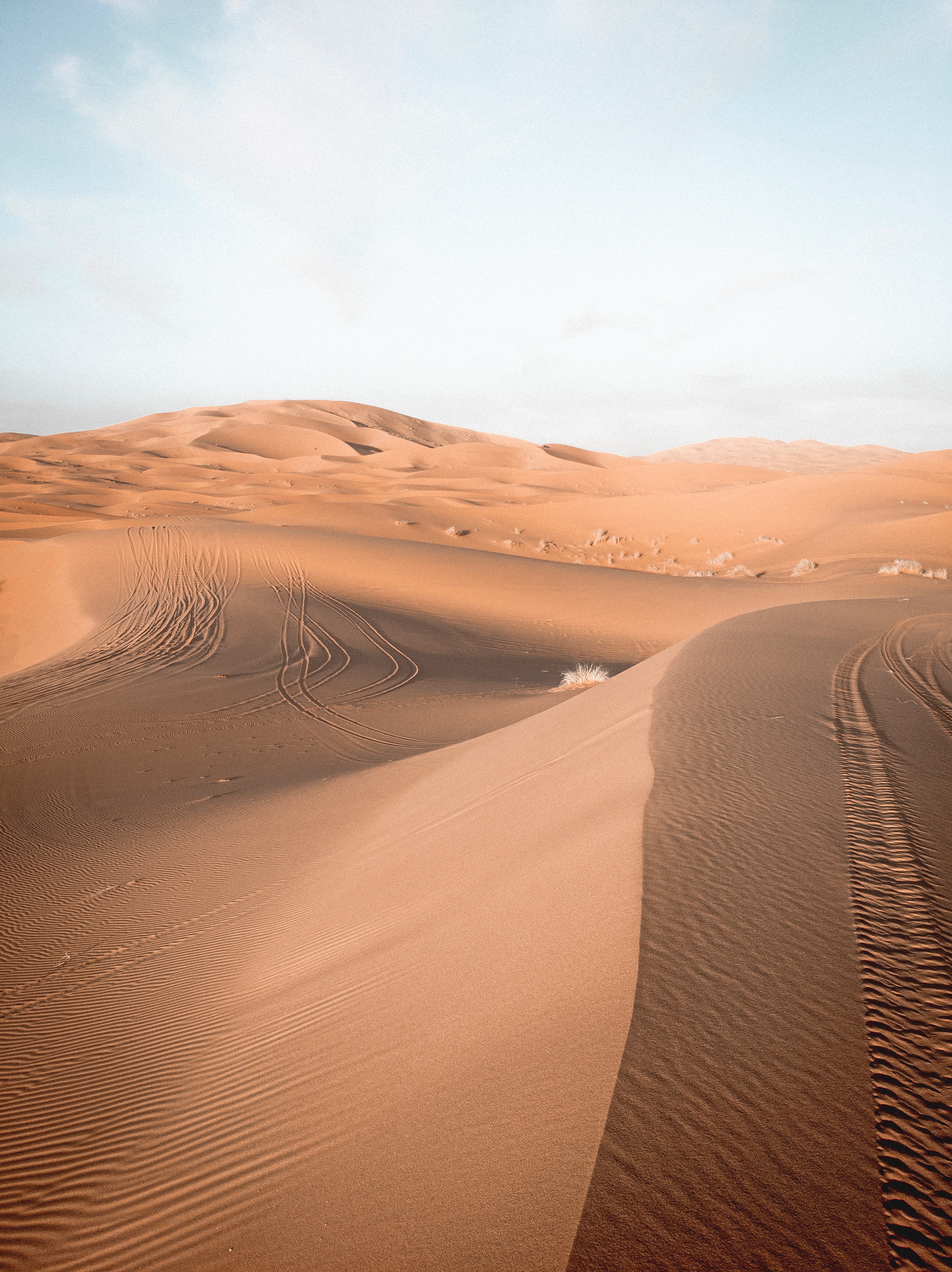 98839 télécharger l'image nature, sky, sable, désert, traces, dunes - fonds d'écran et économiseurs d'écran gratuits