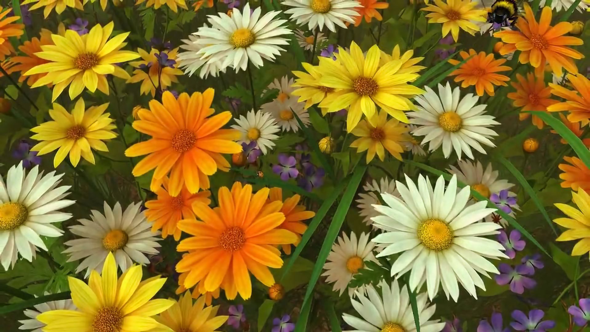 Handy-Wallpaper Blumen, Blume, Biene, Gänseblümchen, Gelbe Blume, Weiße Blume, Künstlerisch kostenlos herunterladen.