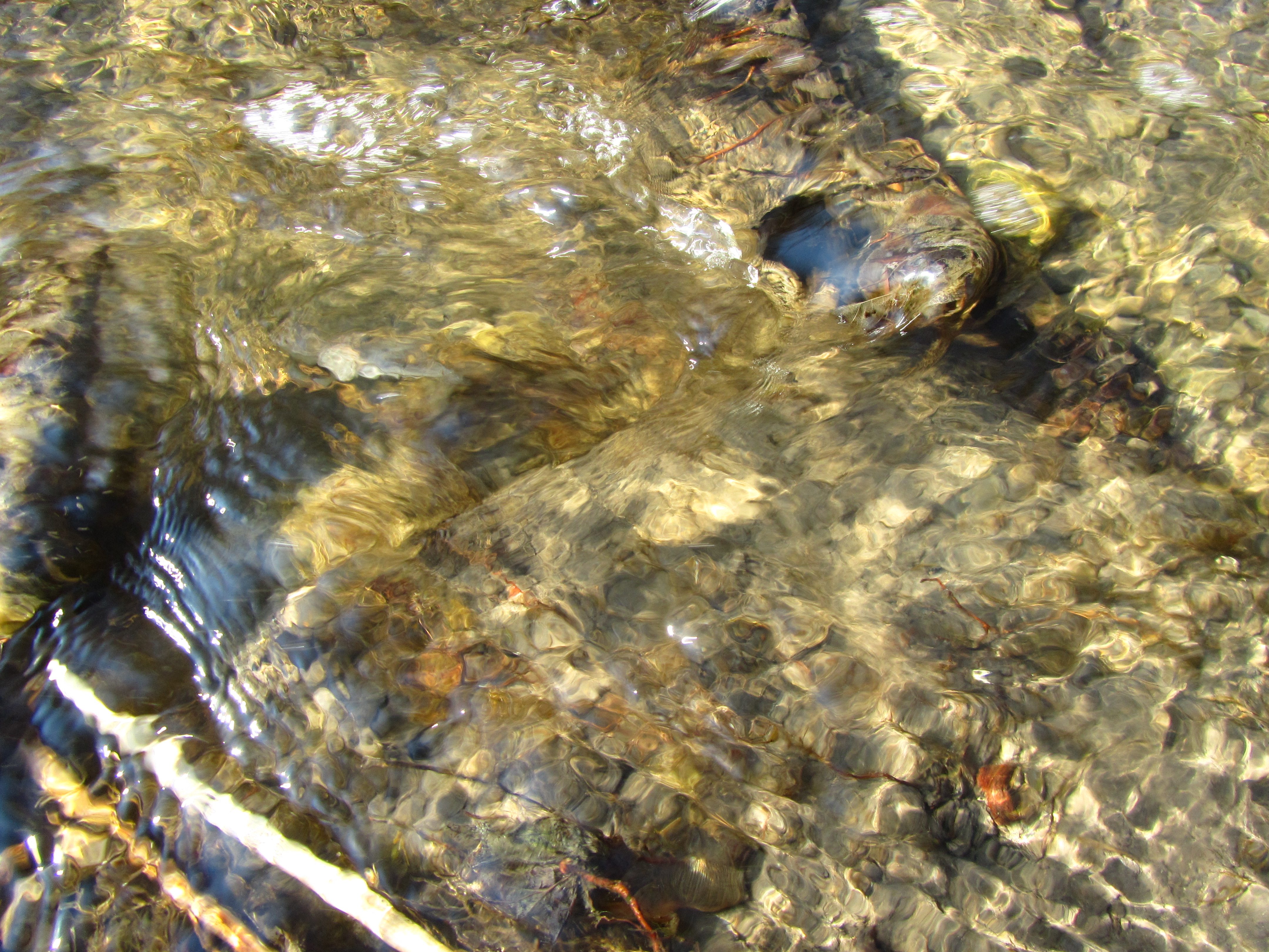 Скачати мобільні шпалери Вода, Земля безкоштовно.