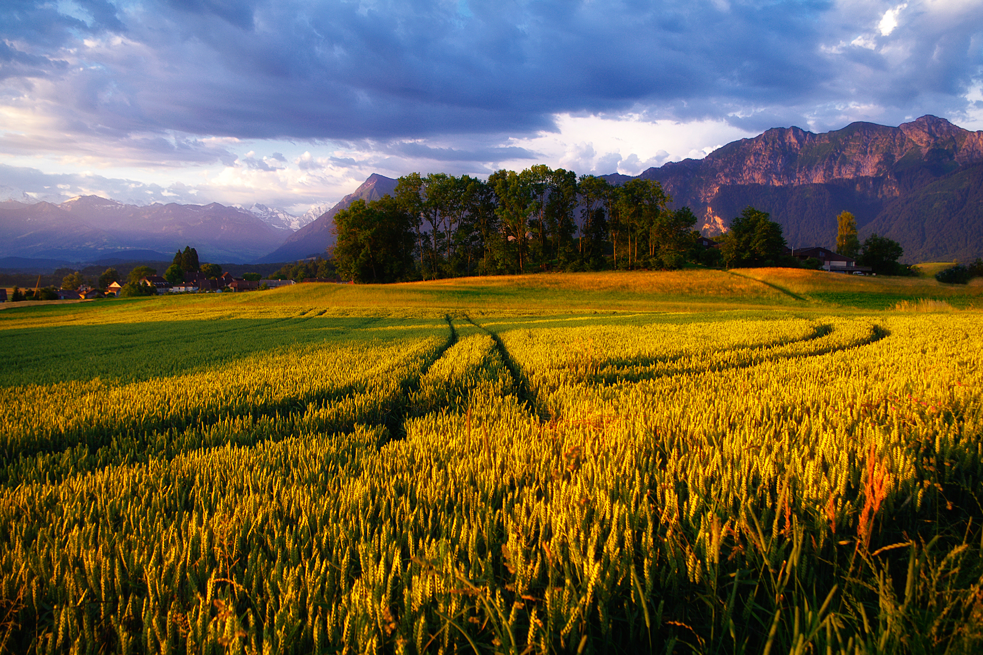 Handy-Wallpaper Feld, Erde/natur kostenlos herunterladen.