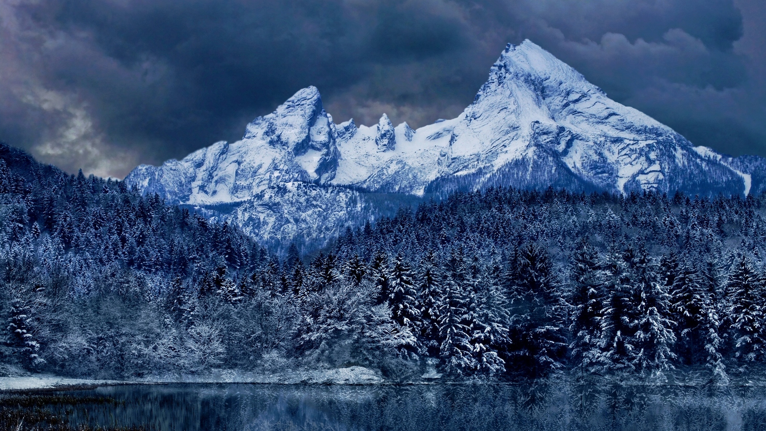 Téléchargez des papiers peints mobile Hiver, Montagne, Forêt, Nuage, Terre/nature, Neiger gratuitement.