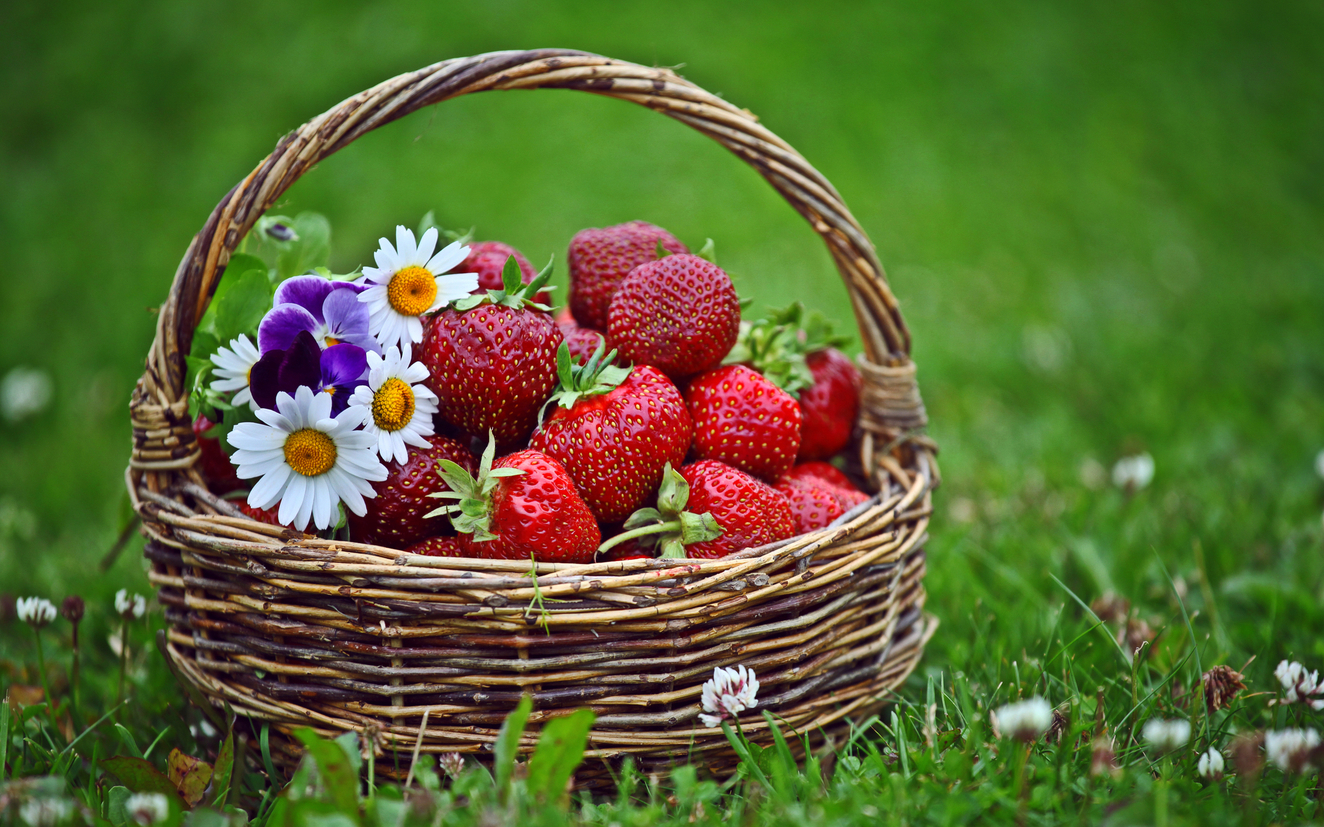 Free download wallpaper Food, Strawberry, Flower on your PC desktop