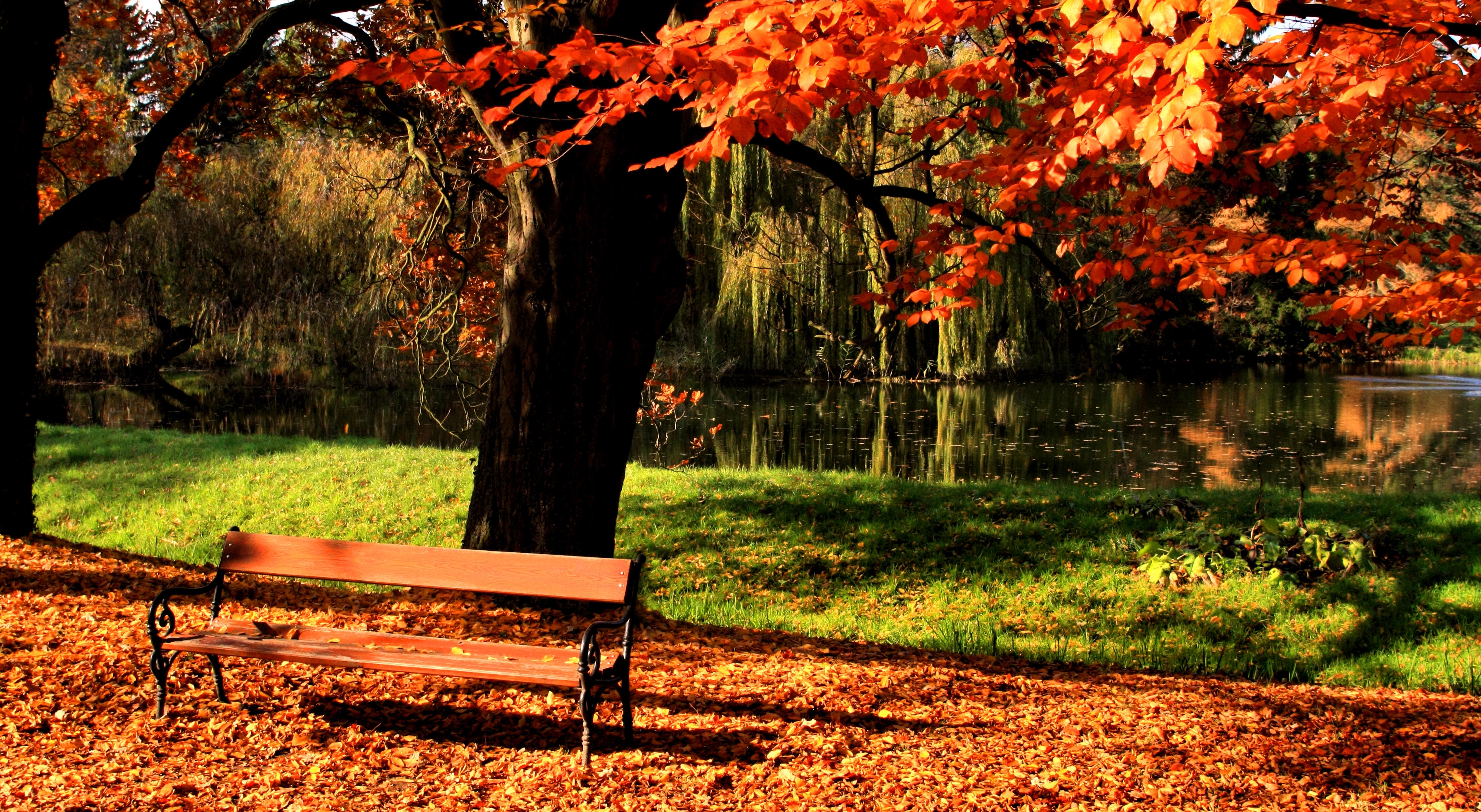 PCデスクトップに自然, 木, 秋, 湖, 輝く, 光, 木材, 公園, ベンチ, 芝生画像を無料でダウンロード