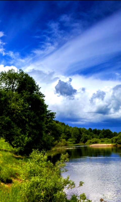 Handy-Wallpaper Natur, Sommer, Baum, Fluss, Erde/natur kostenlos herunterladen.