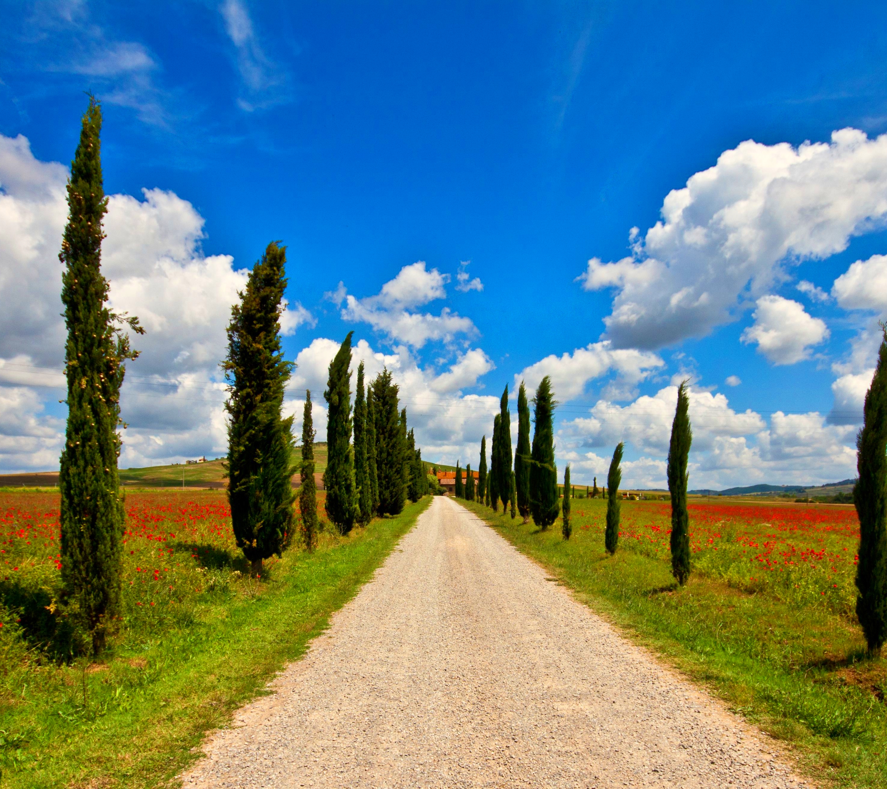 Free download wallpaper Italy, Road, Tree, Tuscany, Man Made, Dirt Road on your PC desktop
