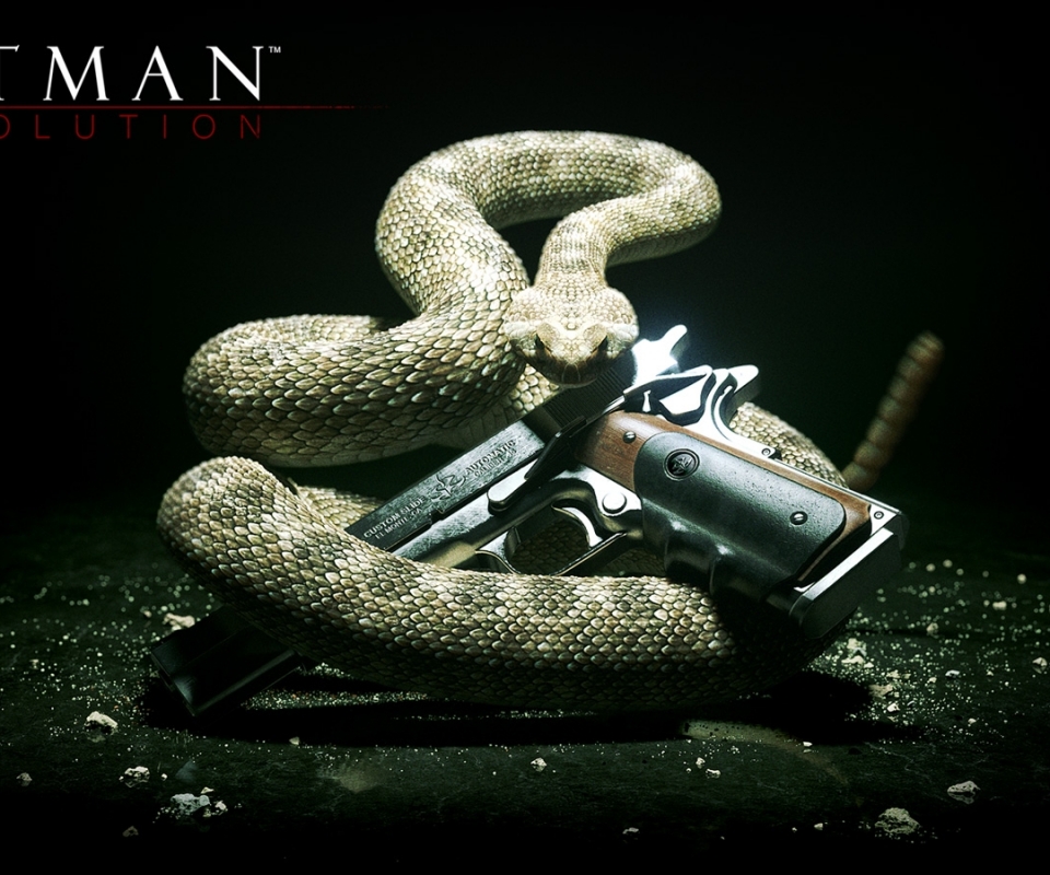 Descarga gratuita de fondo de pantalla para móvil de Hitman, Serpiente, Videojuego, Pistola, Sicario, Hitman: Absolution.