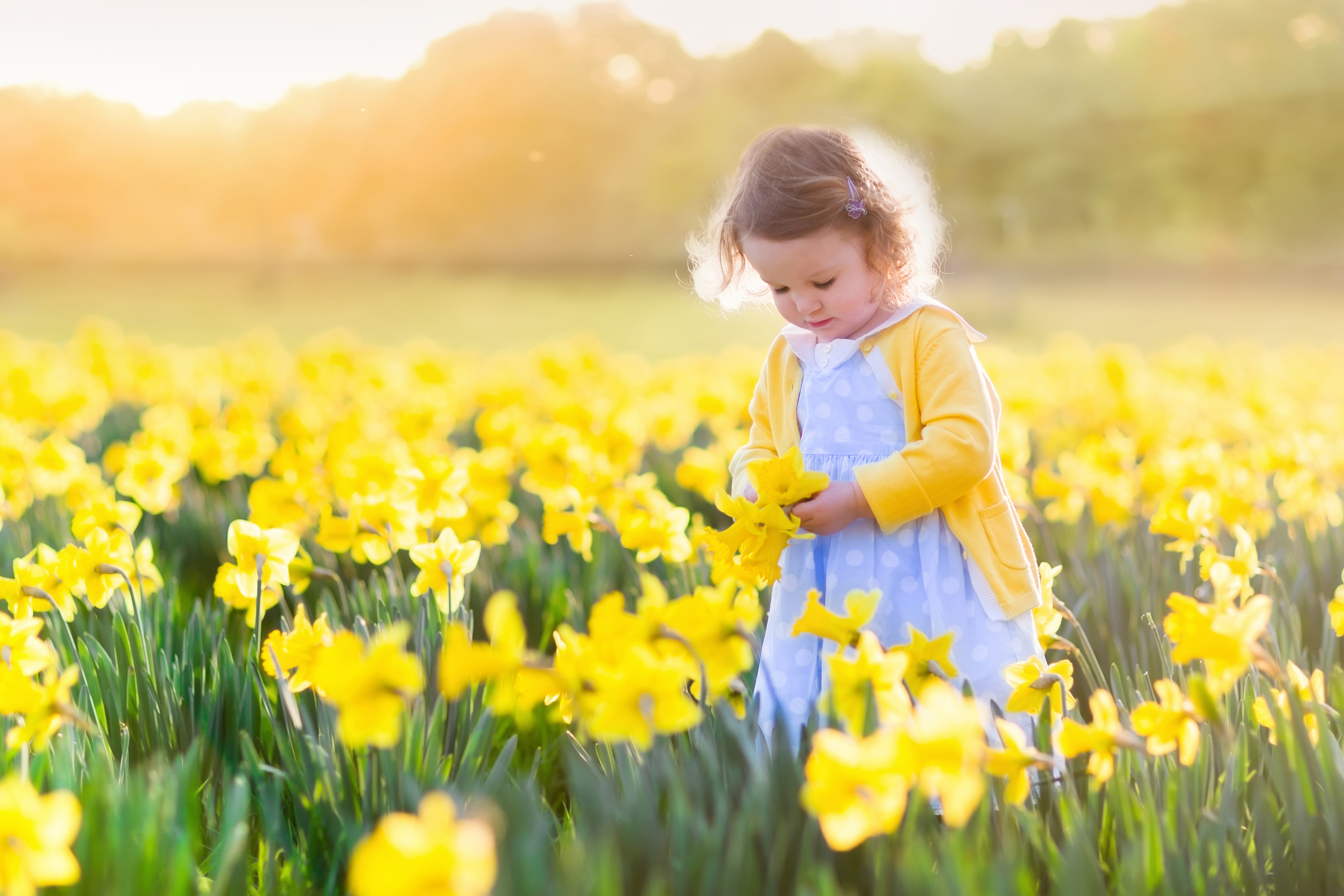 Free download wallpaper Summer, Flower, Child, Photography, Yellow Flower, Little Girl, Daffodil, Depth Of Field on your PC desktop