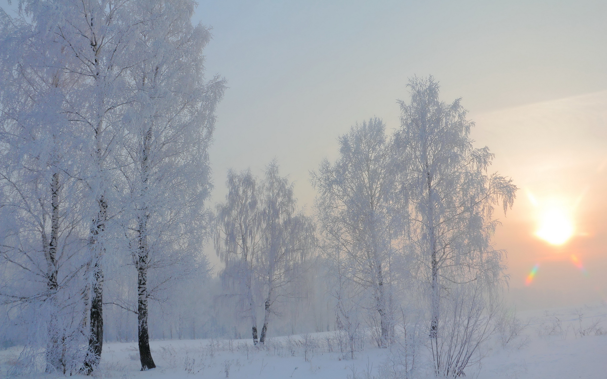 Free download wallpaper Winter, Earth on your PC desktop