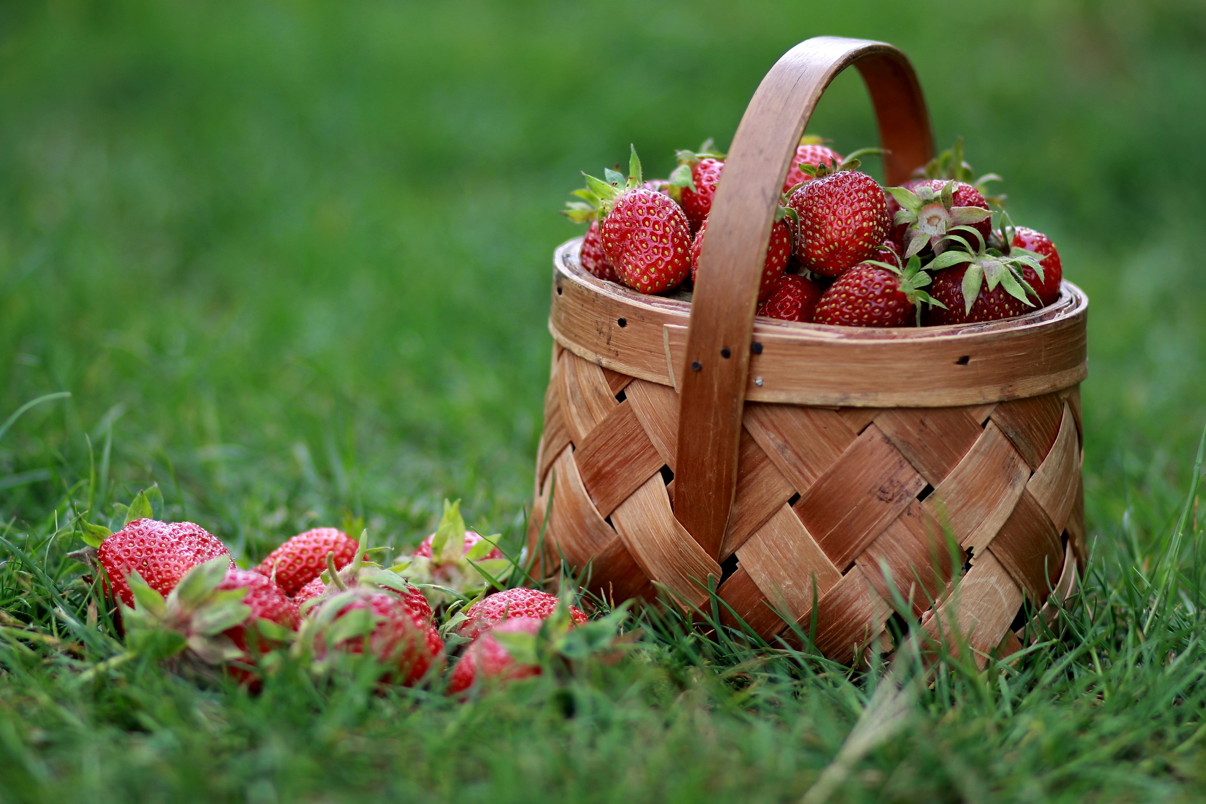 Handy-Wallpaper Erdbeere, Frucht, Korb, Gras, Nahrungsmittel, Früchte kostenlos herunterladen.