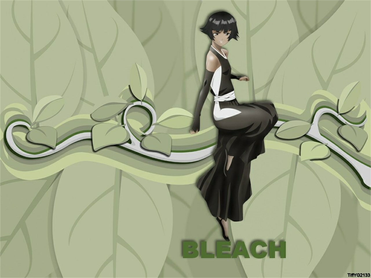 Download mobile wallpaper Soifon (Bleach), Bleach, Anime for free.