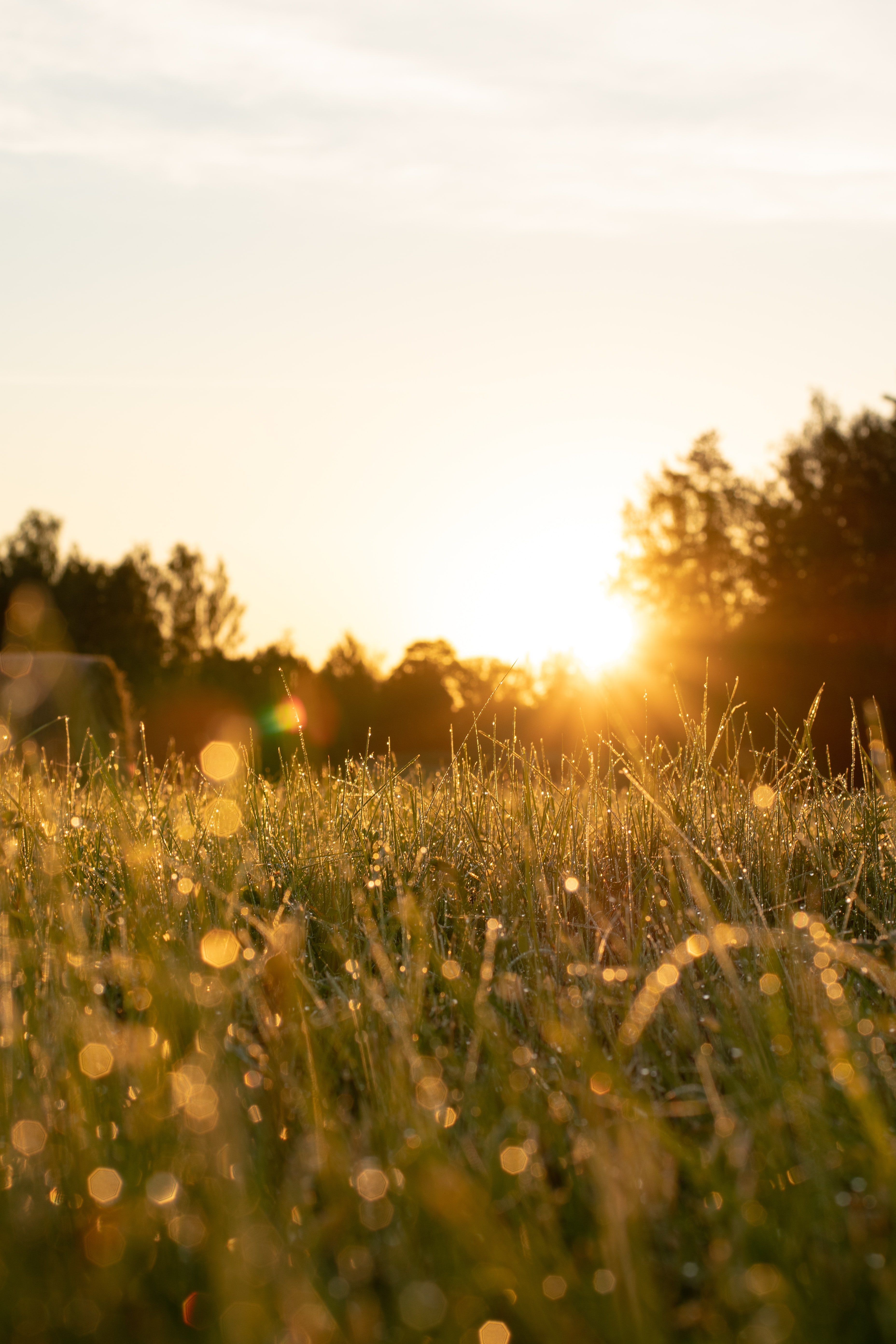 Free download wallpaper Nature, Grass, Beams, Rays, Glare, Field on your PC desktop