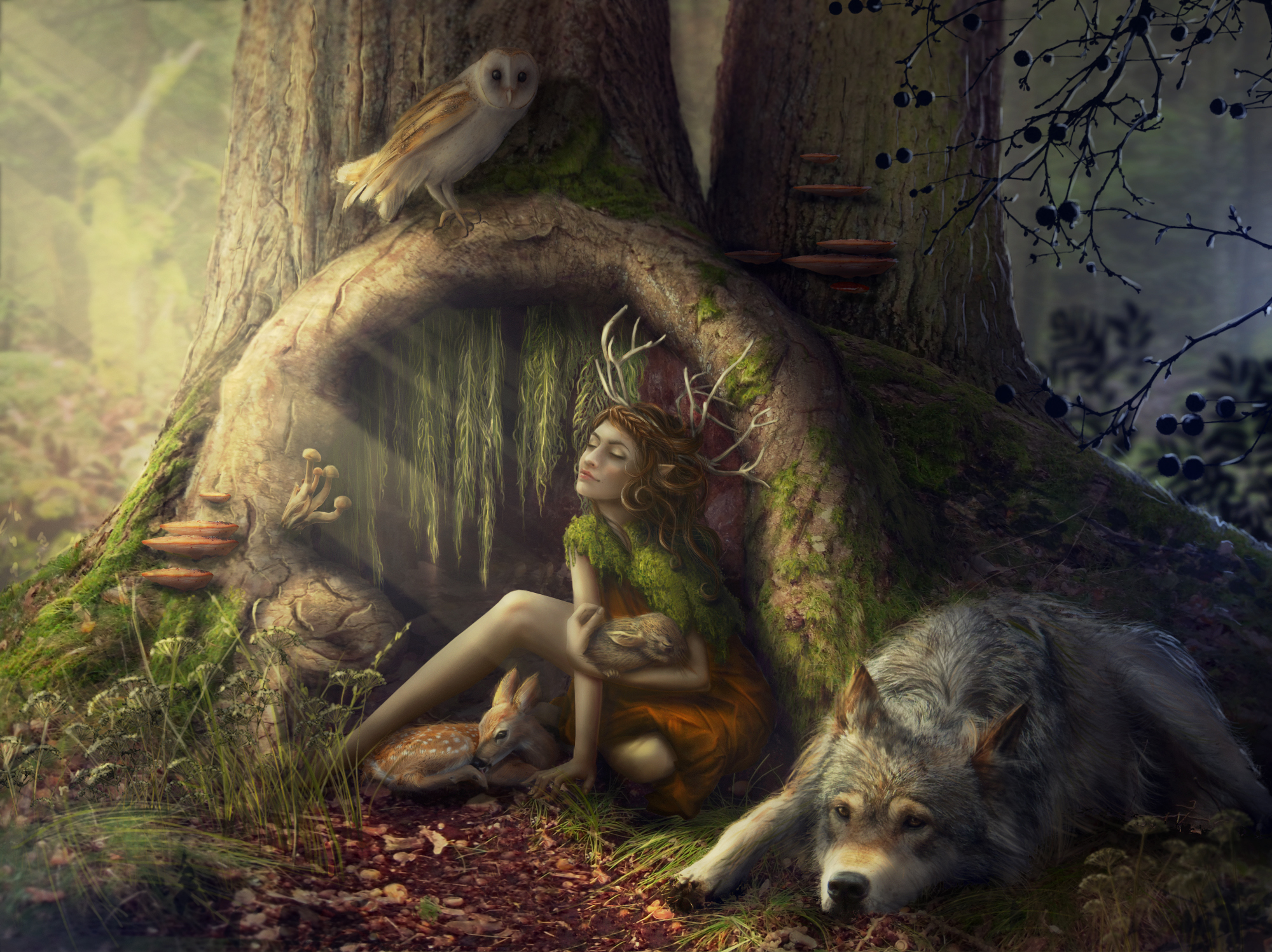 739070 завантажити картинку фантазія, ліс, ельф, оленя, сова, кролик, дерево, вовк - шпалери і заставки безкоштовно