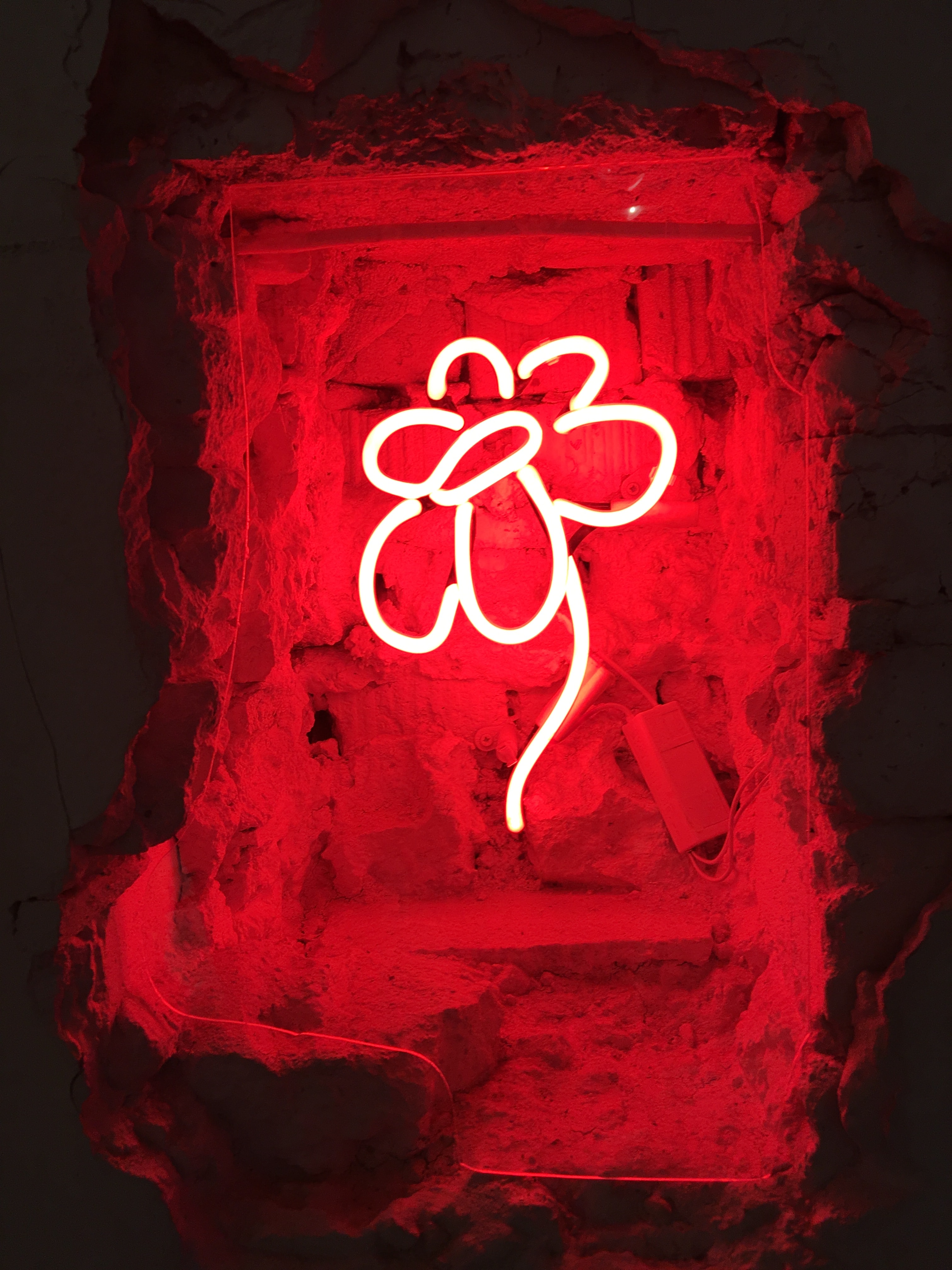 Download mobile wallpaper Flower, Glow, Dark, Neon for free.