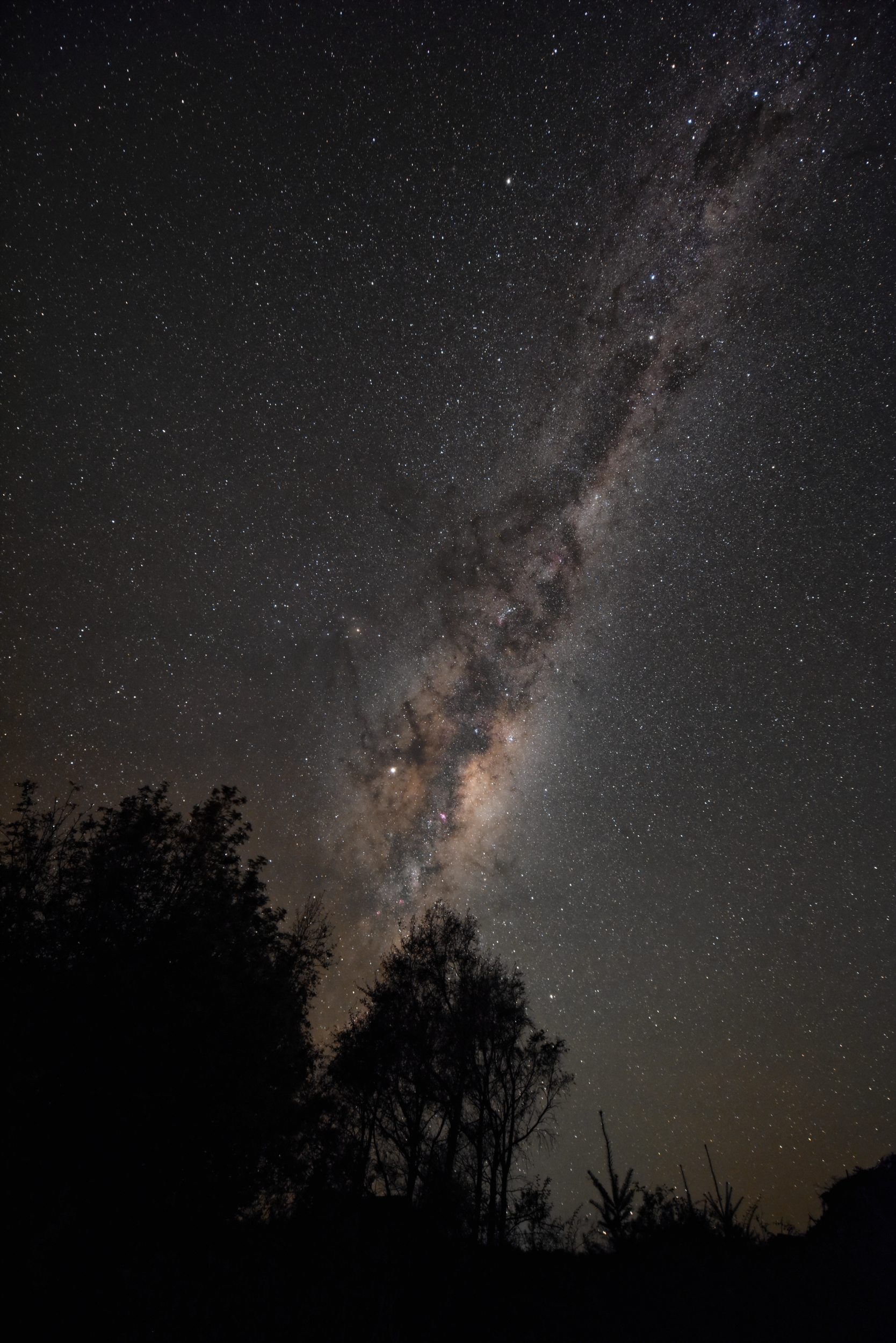 Download mobile wallpaper Milky Way, Trees, Starry Sky, Night, Silhouettes, Dark for free.