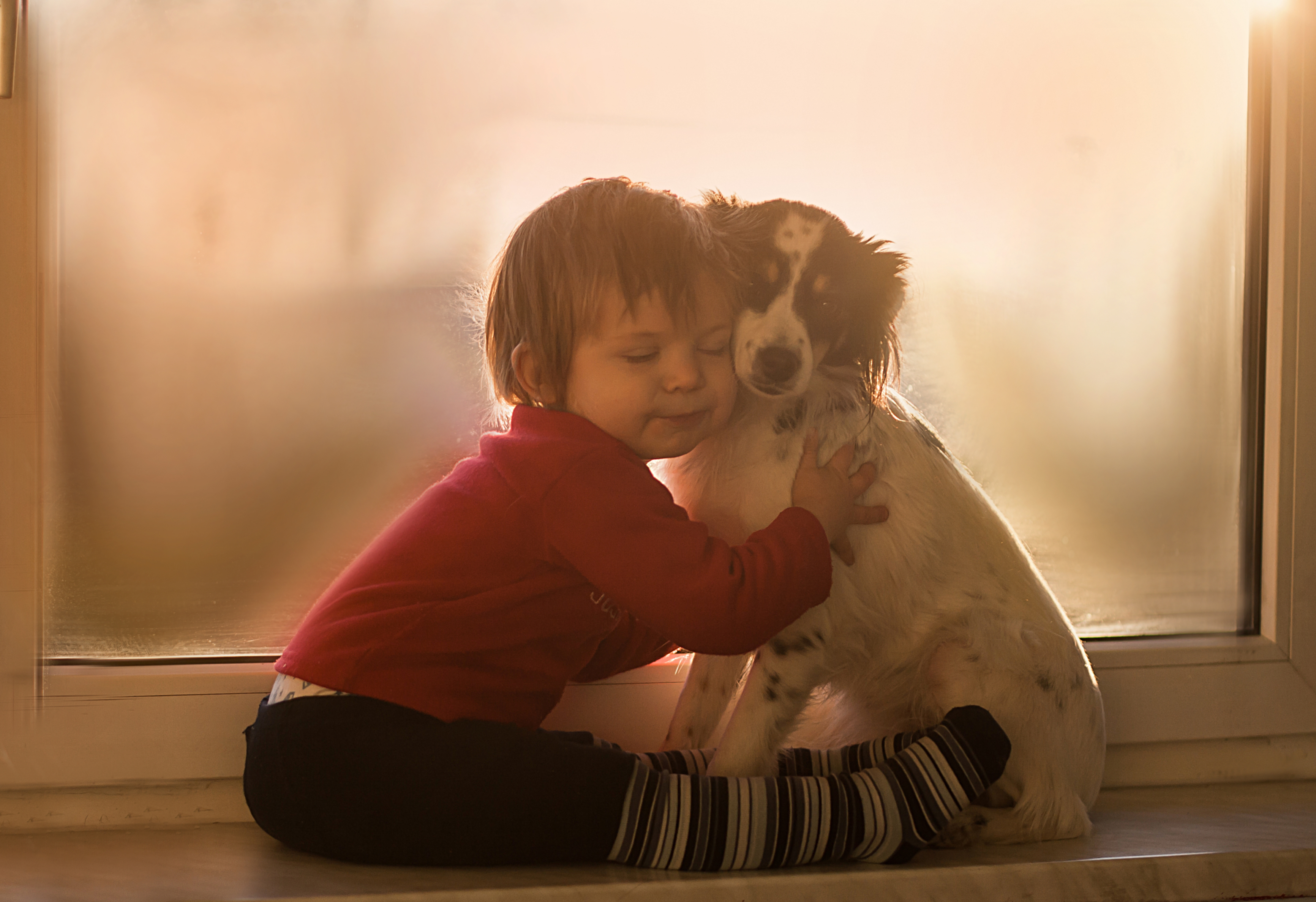 Download mobile wallpaper Dog, Child, Photography, Little Boy for free.
