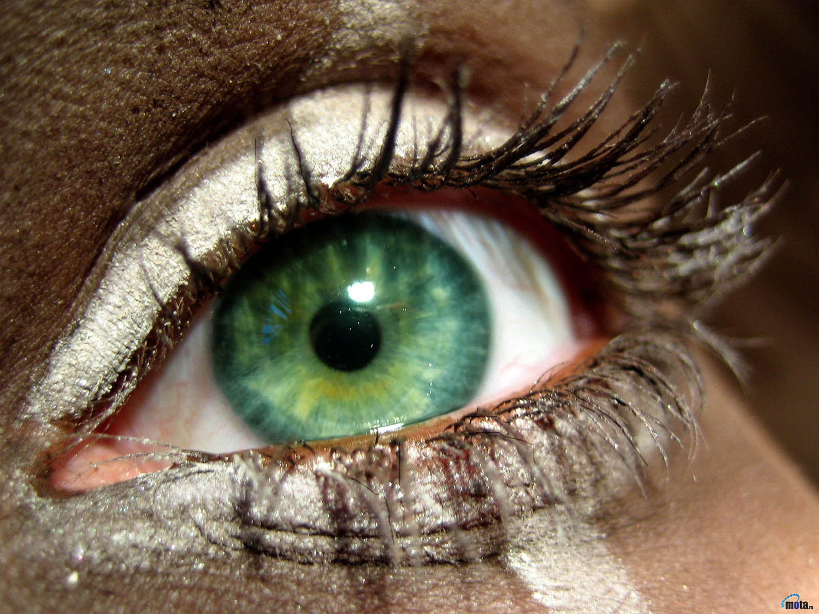 Baixe gratuitamente a imagem Olhos, Fechar Se, Olhos Verdes, Artistico na área de trabalho do seu PC