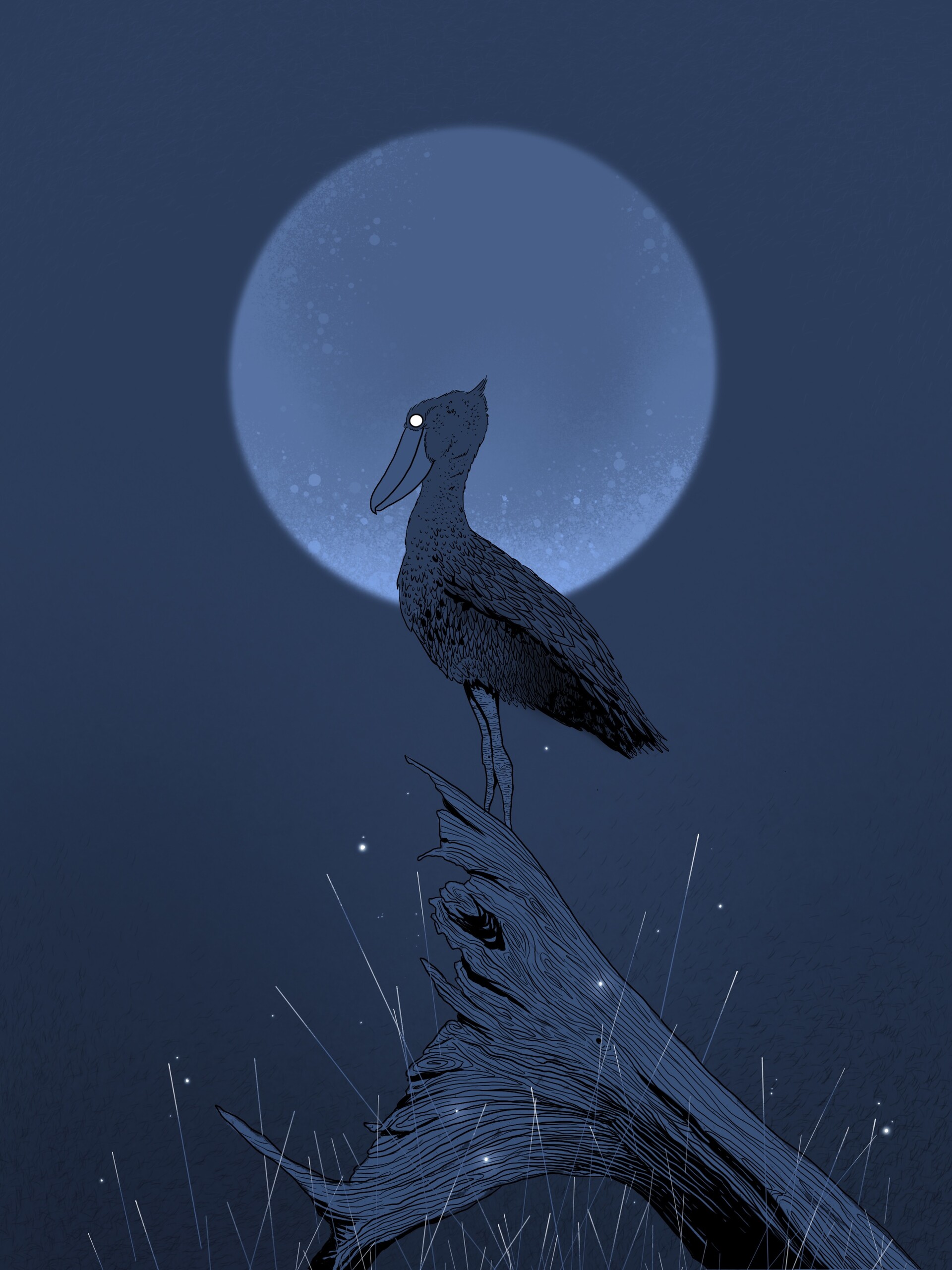 Free download wallpaper Pelican, Stump, Night, Art, Bird, Moon on your PC desktop