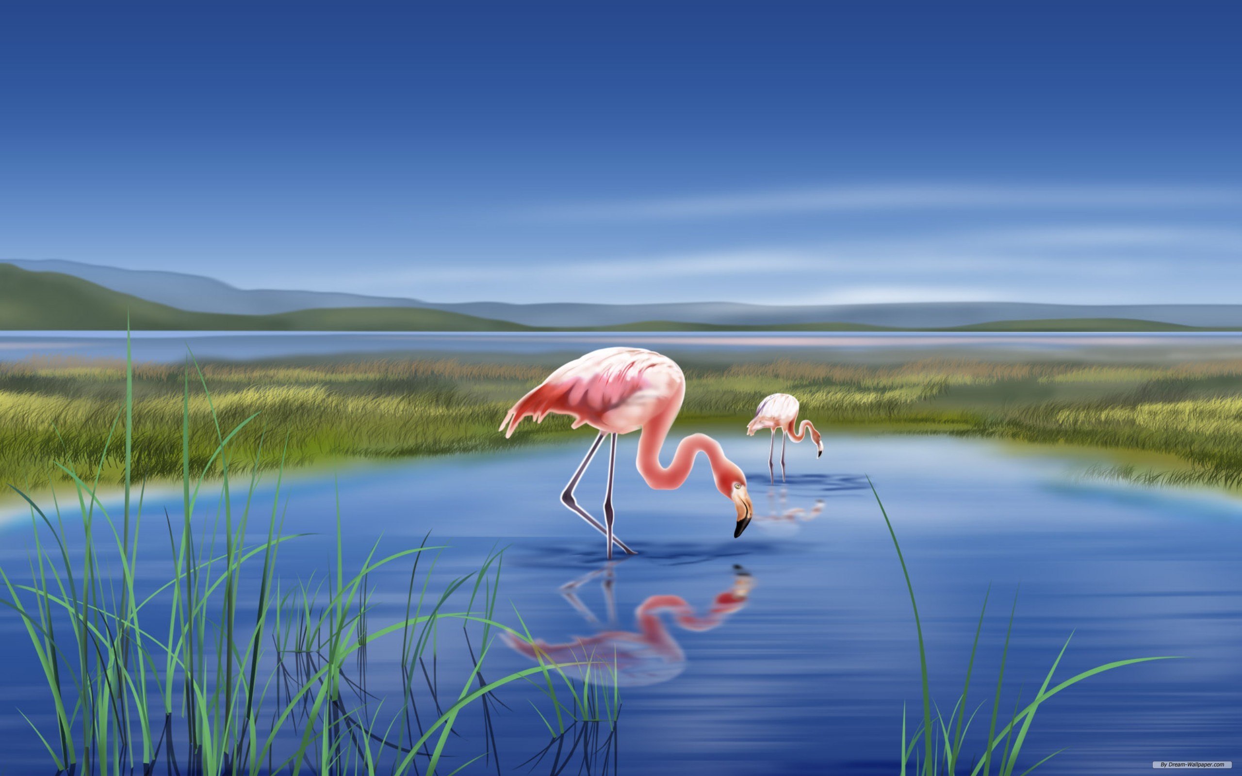 Free download wallpaper Animal, Artistic on your PC desktop