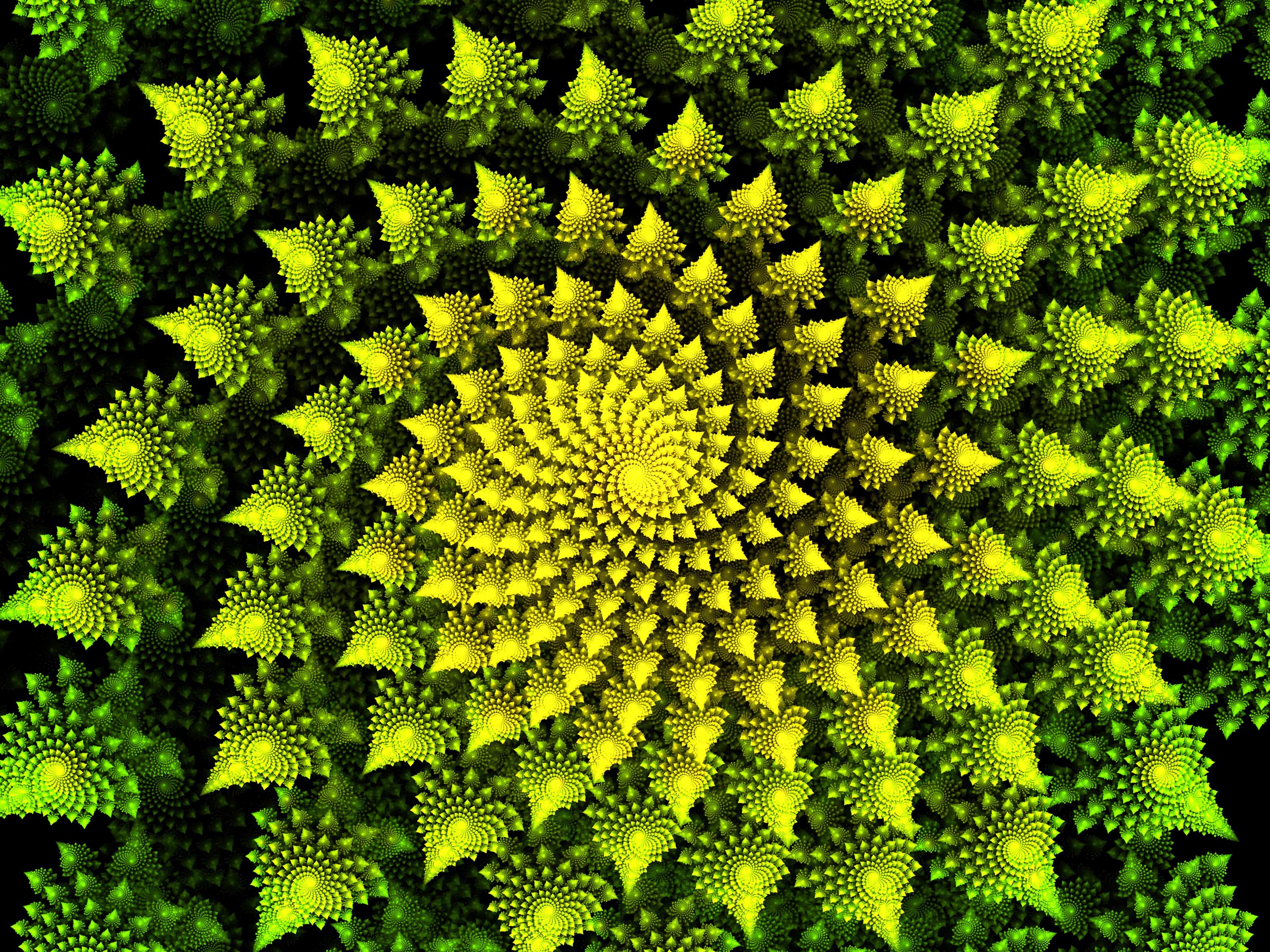 swirling, abstract, bright, fractal, spiral, involute HD wallpaper